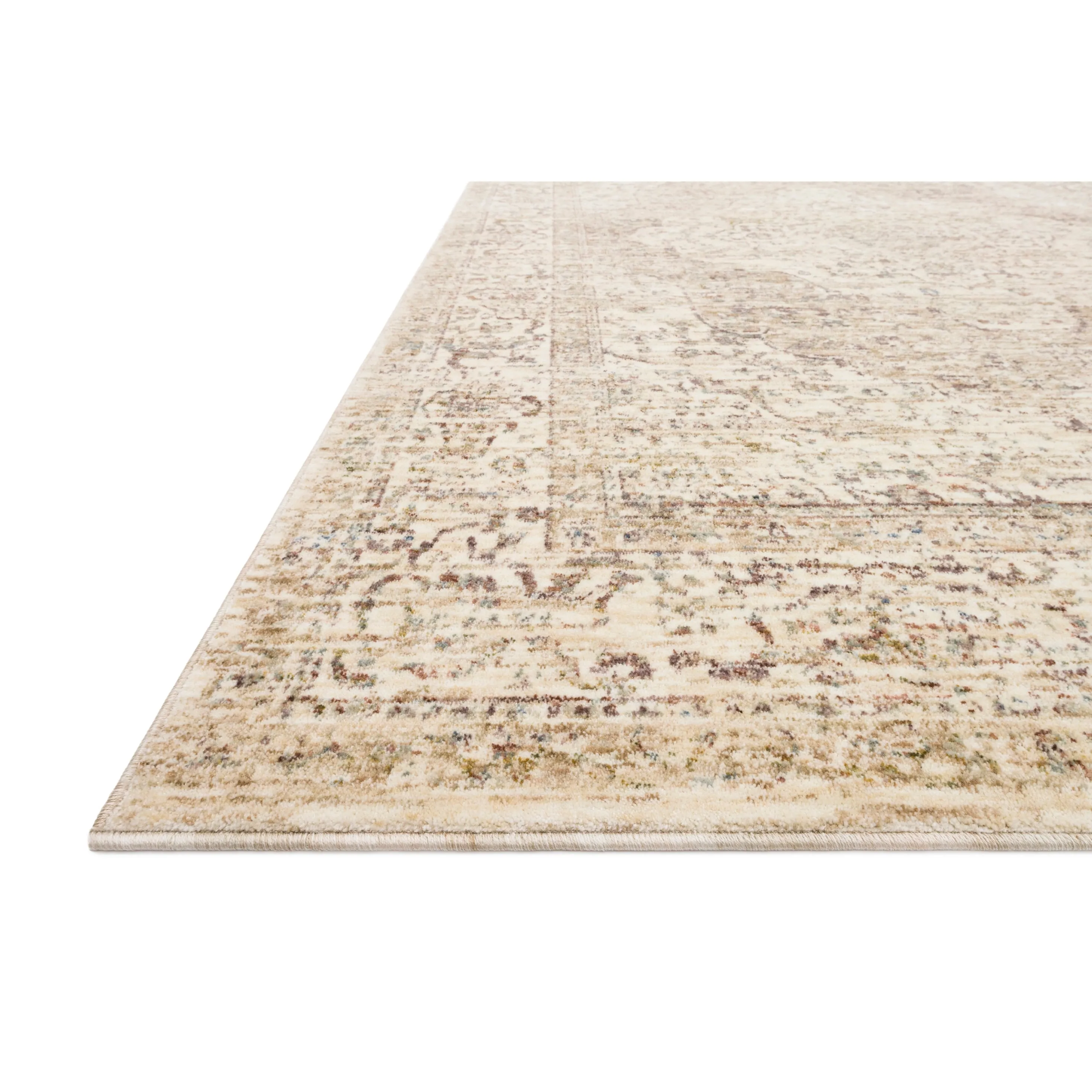 Alexander Home Austen Antique Washed Traditional Area Rug
