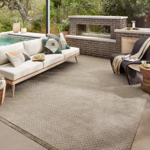 Alexander Home Dana Indoor / Outdoor Transitional Area Rug