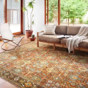 Alexander Home Luciano Oriental Indoor/ Outdoor Area Rug