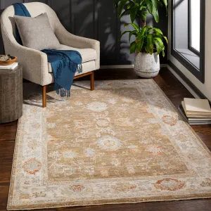 Artistic Weavers Caeso Traditional Area Rug