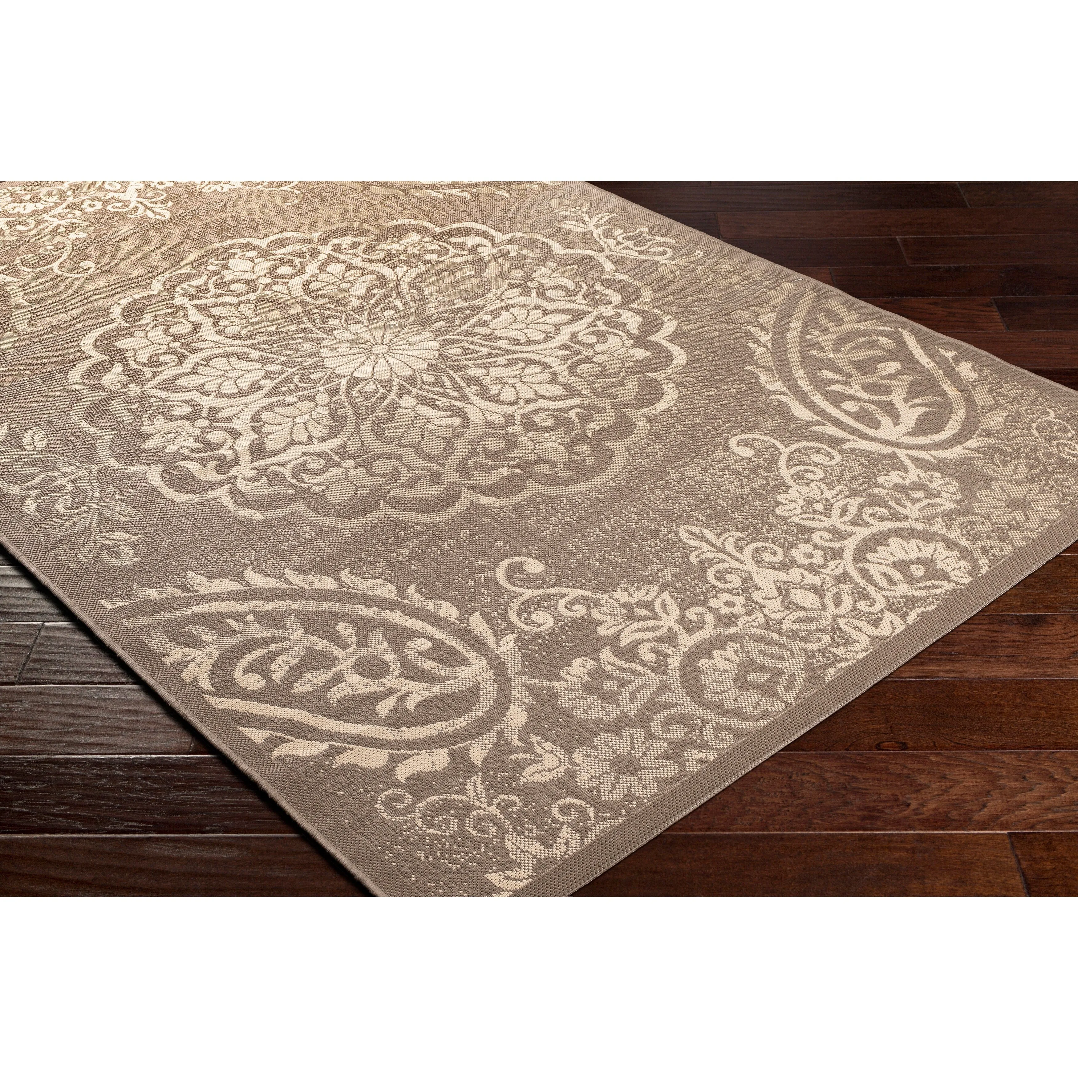 Artistic Weavers Kaisa Indoor/ Outdoor Paisley Medallion Area Rug