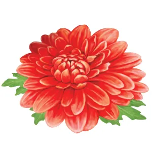 Beautiful Chrysanthemum Shaped Accent Rug - 2X2 FT