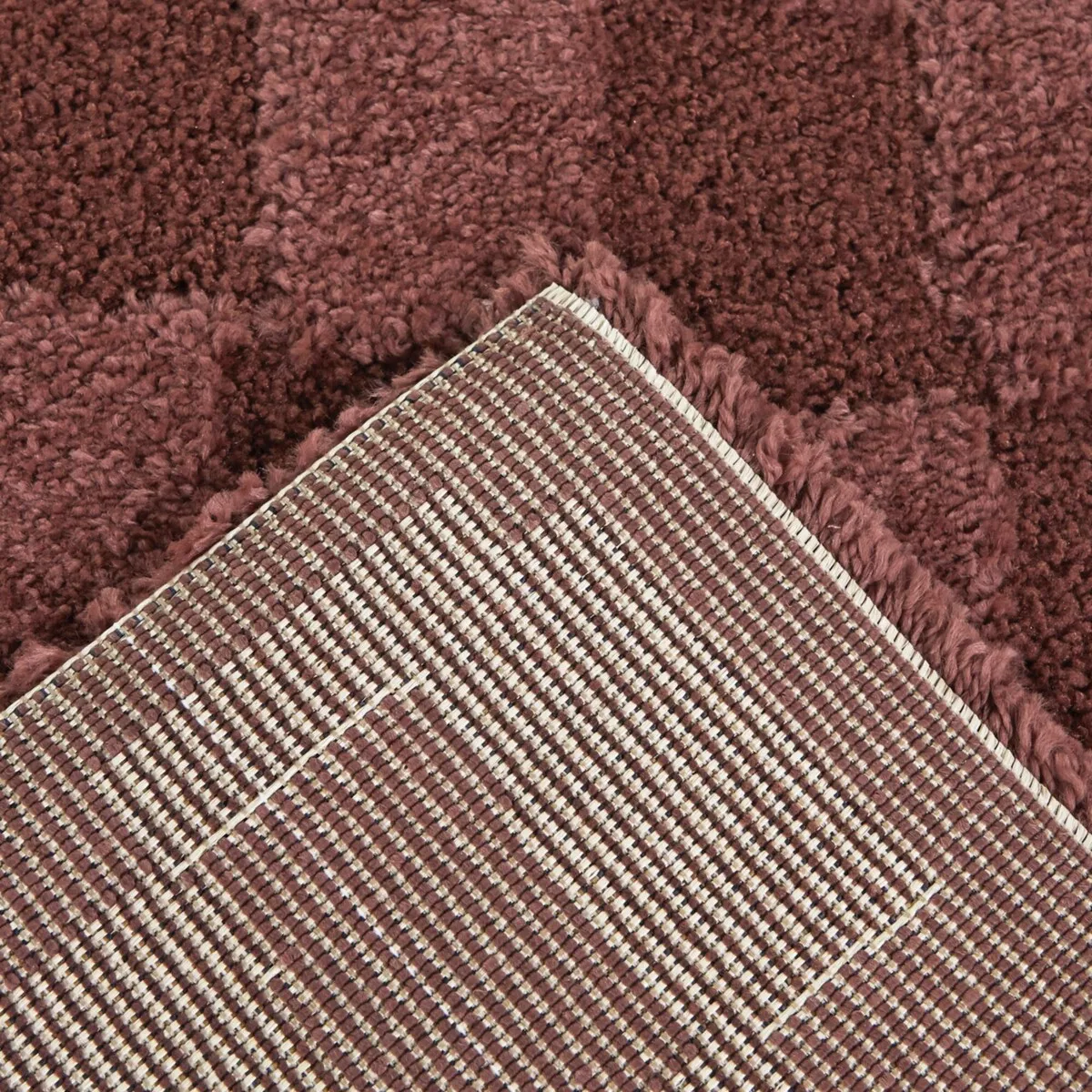 Bingham Checkered Area Rug
