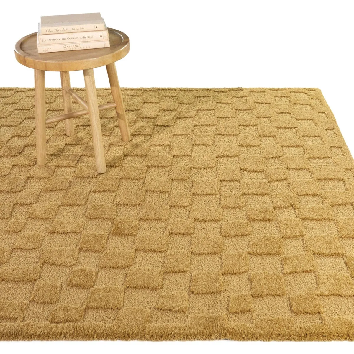 Bingham Checkered Area Rug