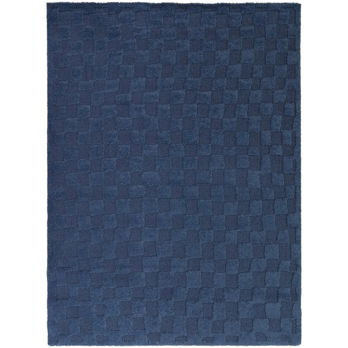 Bingham Checkered Area Rug