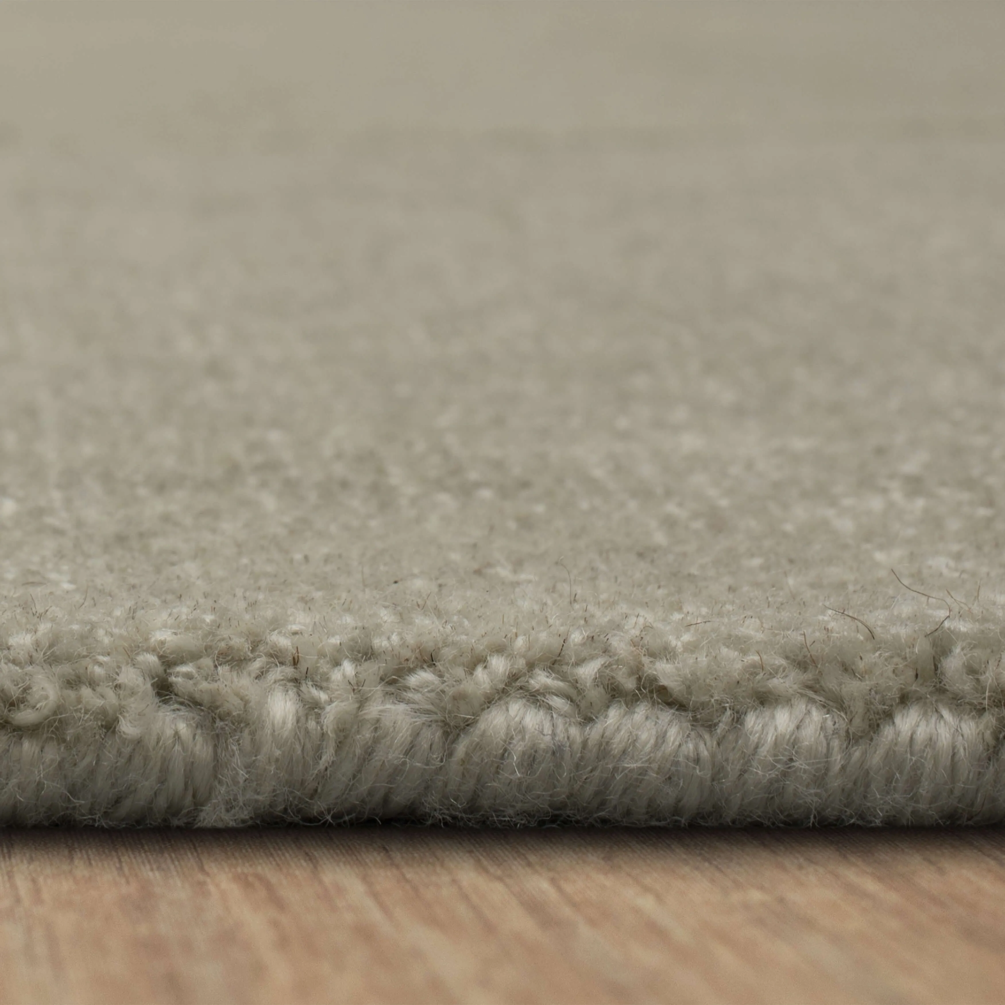 Bobby Berk Luna Area Rug by Karastan