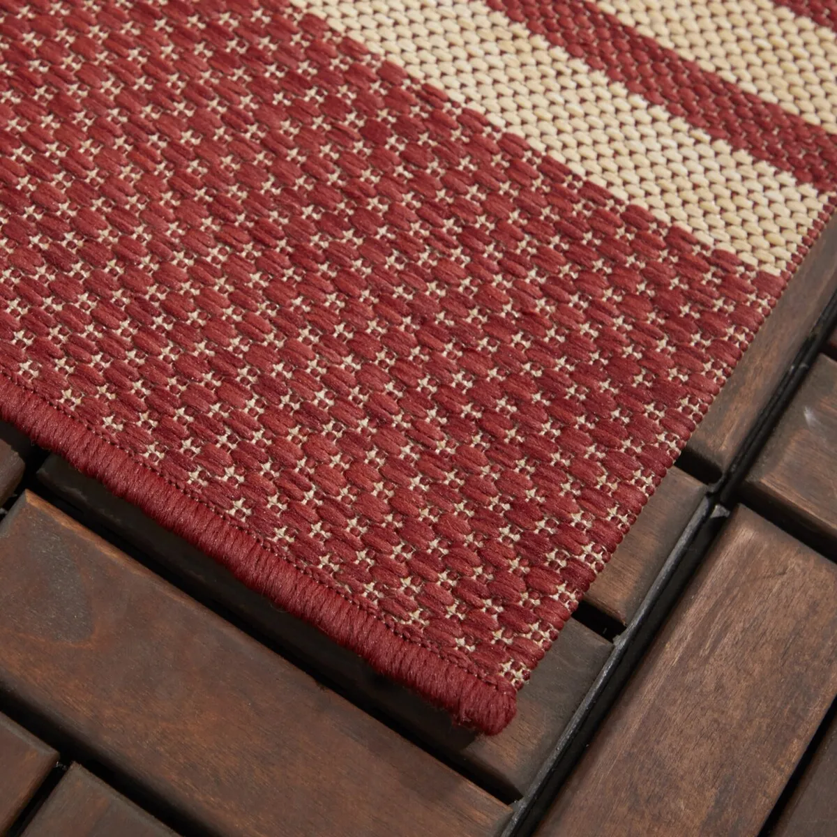 Cerise Contemporary Indoor/Outdoor Area Rug