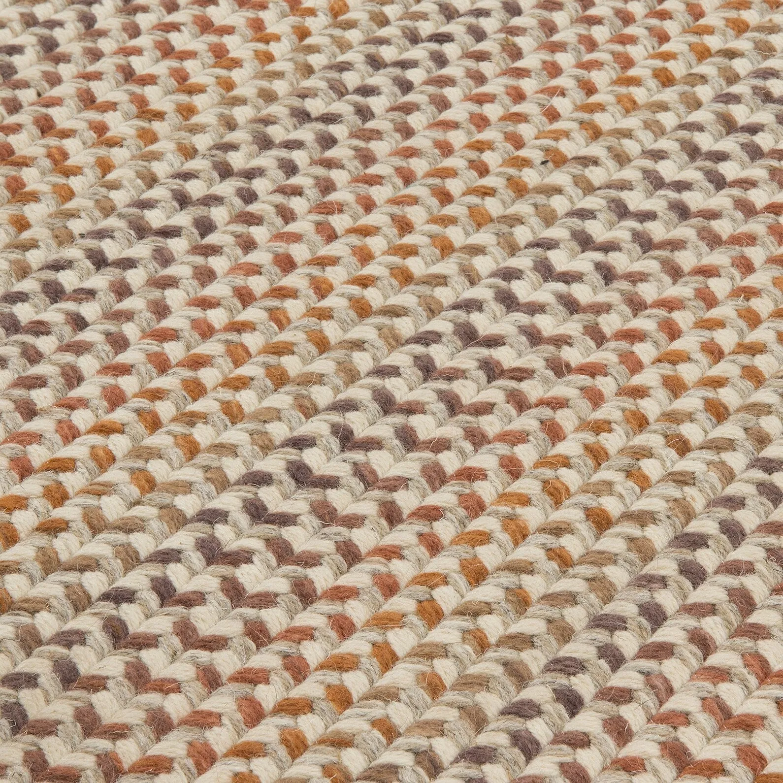 Chapman 100% Wool Multi-Colored Braided Area Rug