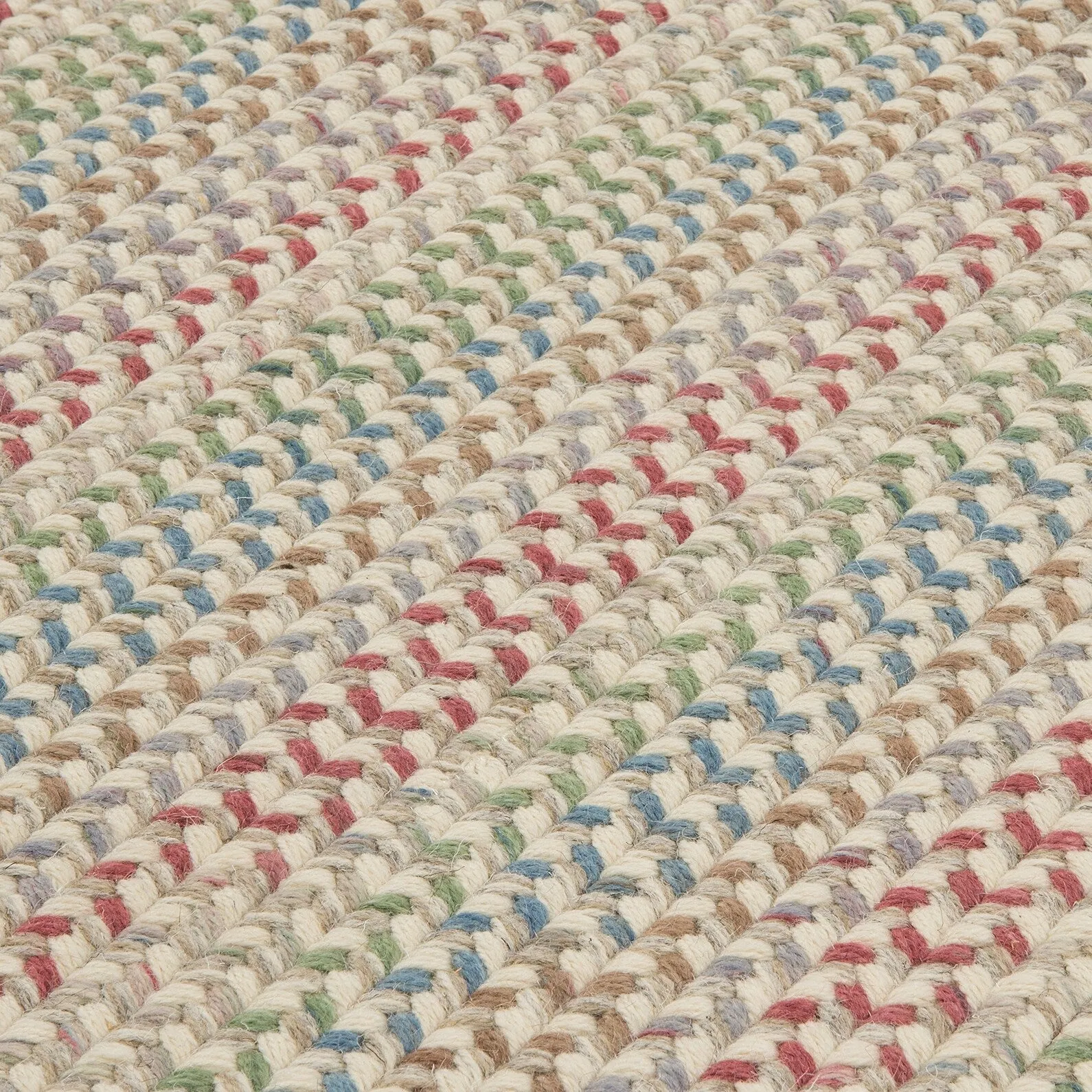 Chapman 100% Wool Multi-Colored Braided Area Rug