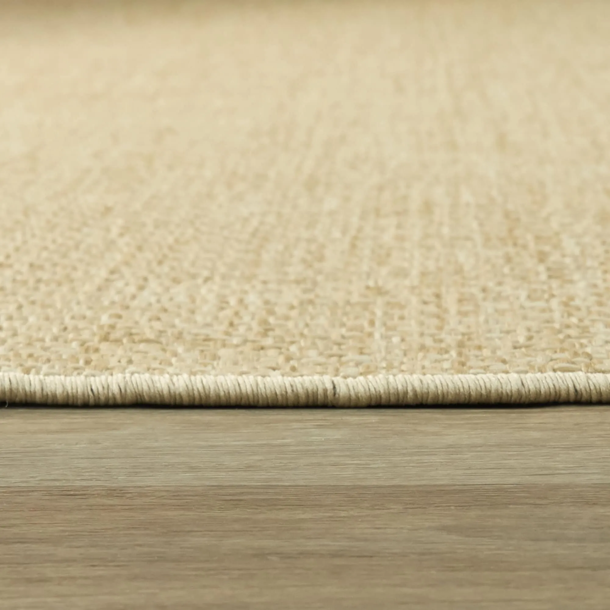 Conant Textured Indoor/Outdoor Area Rug