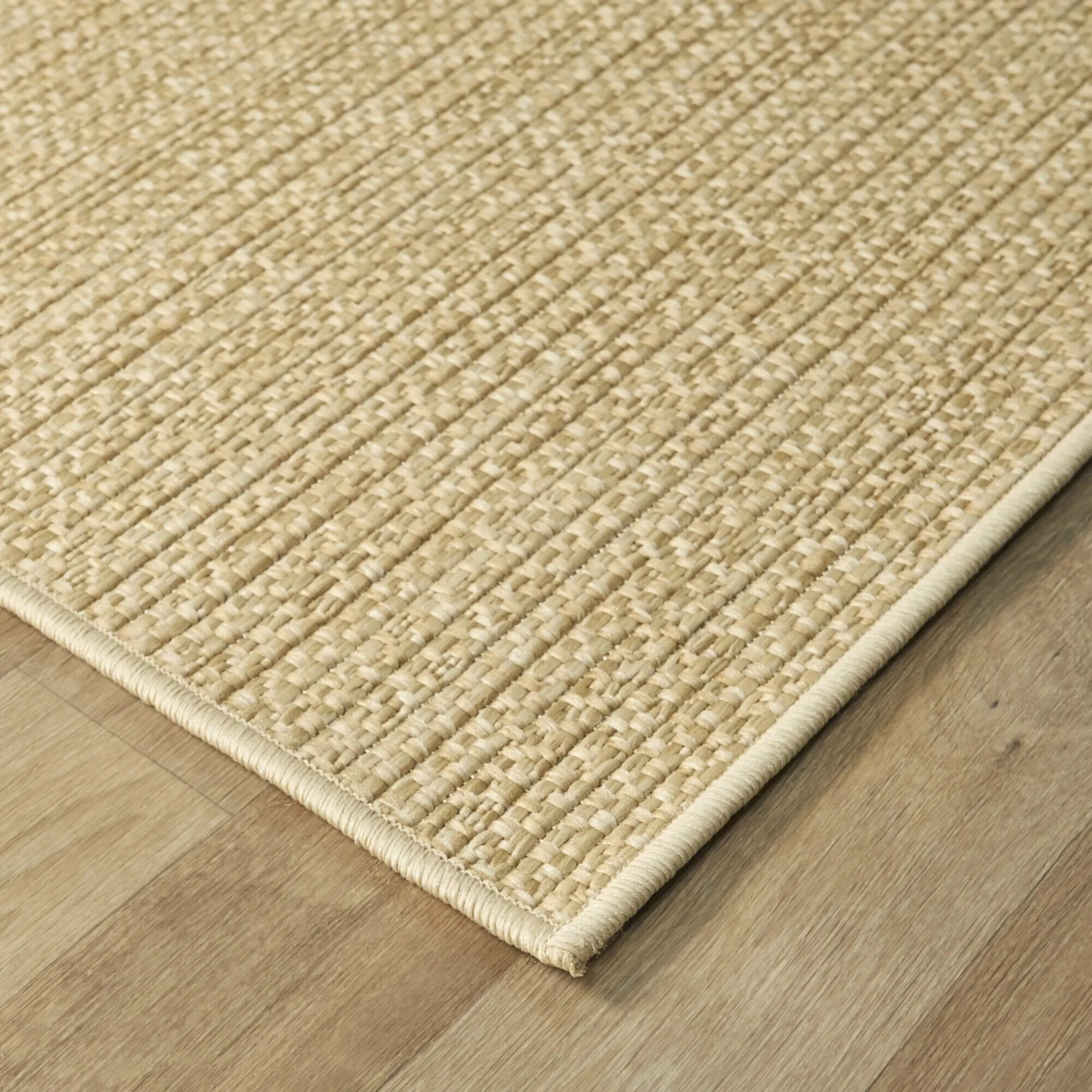 Conant Textured Indoor/Outdoor Area Rug