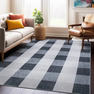 Contemporary Checkered Machine Washable Area Rug