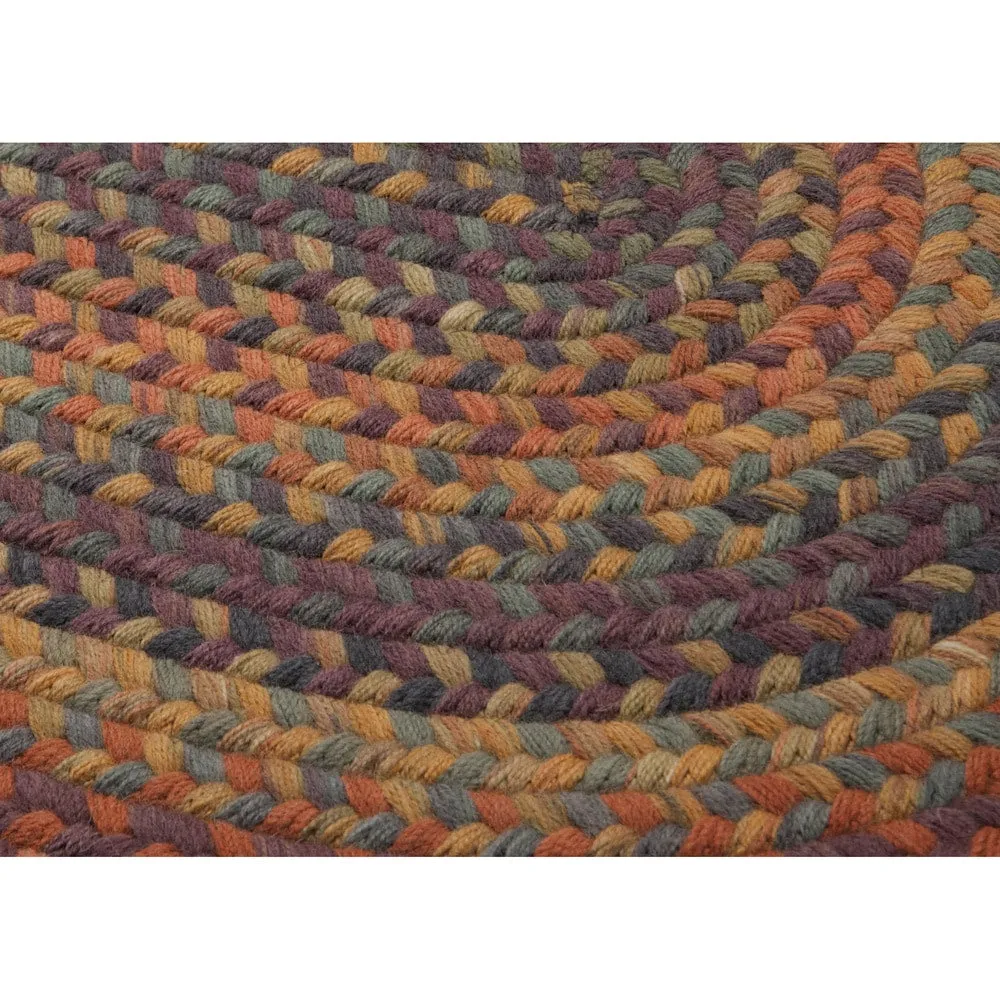 Copper Grove Tonto Multicolor Reversible 100% Wool Indoor Area Rug