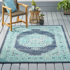 Derudder Indoor and Outdoor Area Rug by Christopher Knight Home