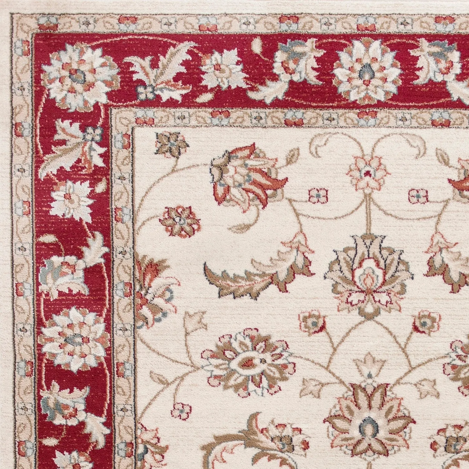 Domani Avon Elegant Traditional Scroll Rug