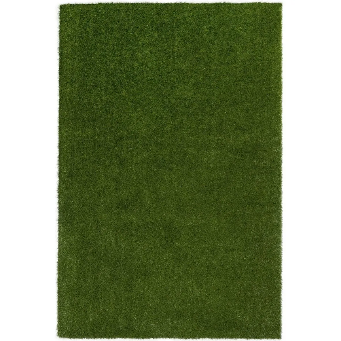 GreenSpace Educational Artificial Grass Synthetic Area Rug