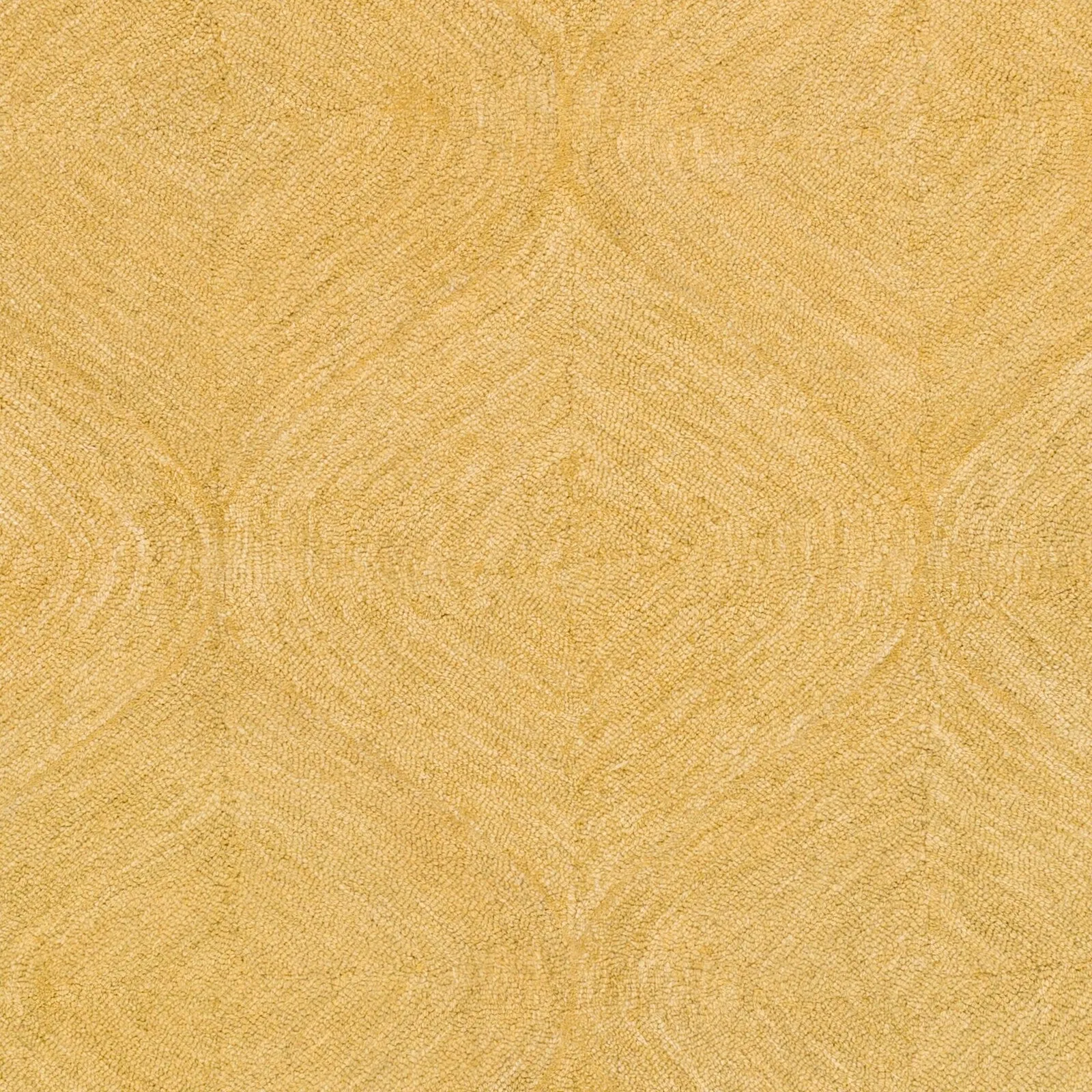 Hand-Tufted Cory Wool Area Rug