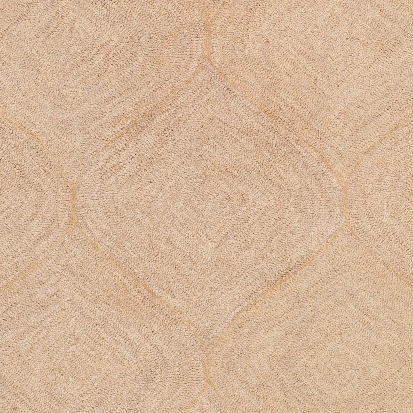 Hand-Tufted Cory Wool Area Rug