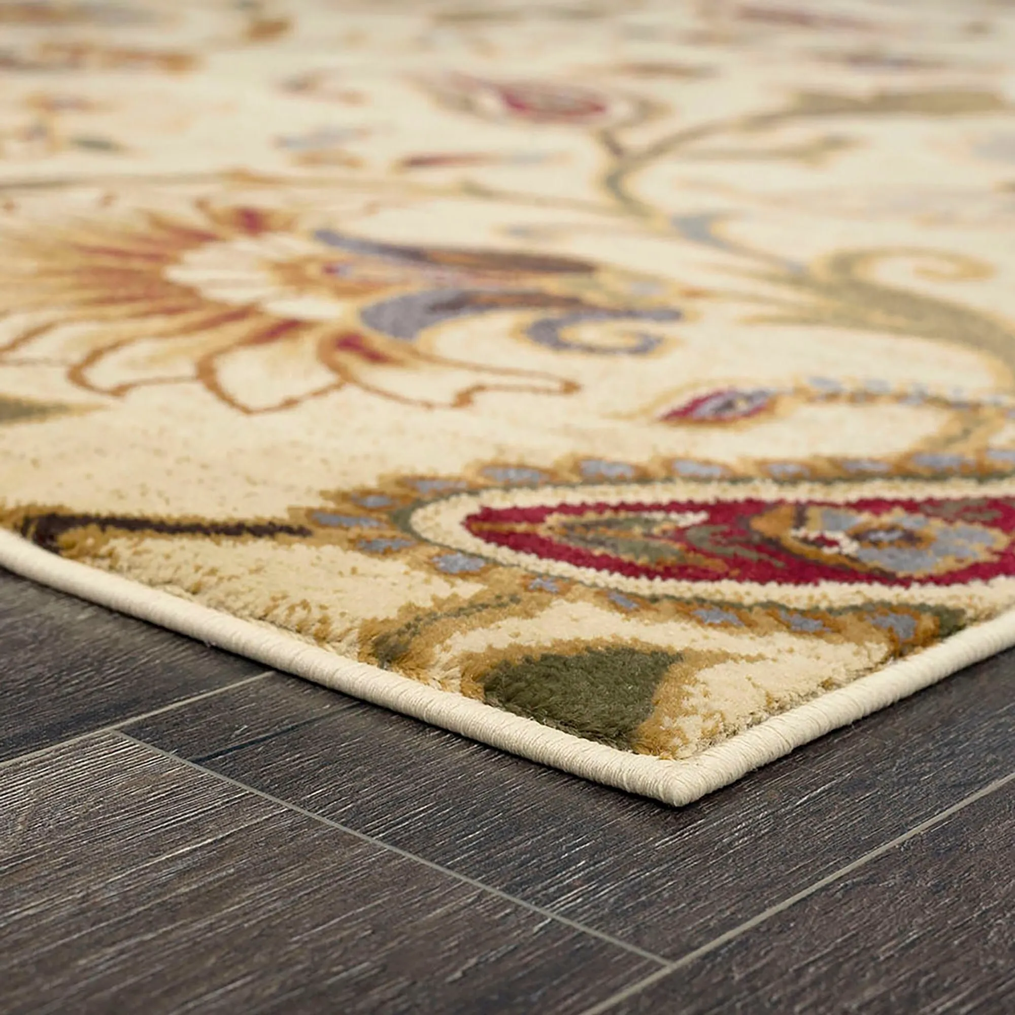 Infinity Transitional Floral Indoor Area Rug