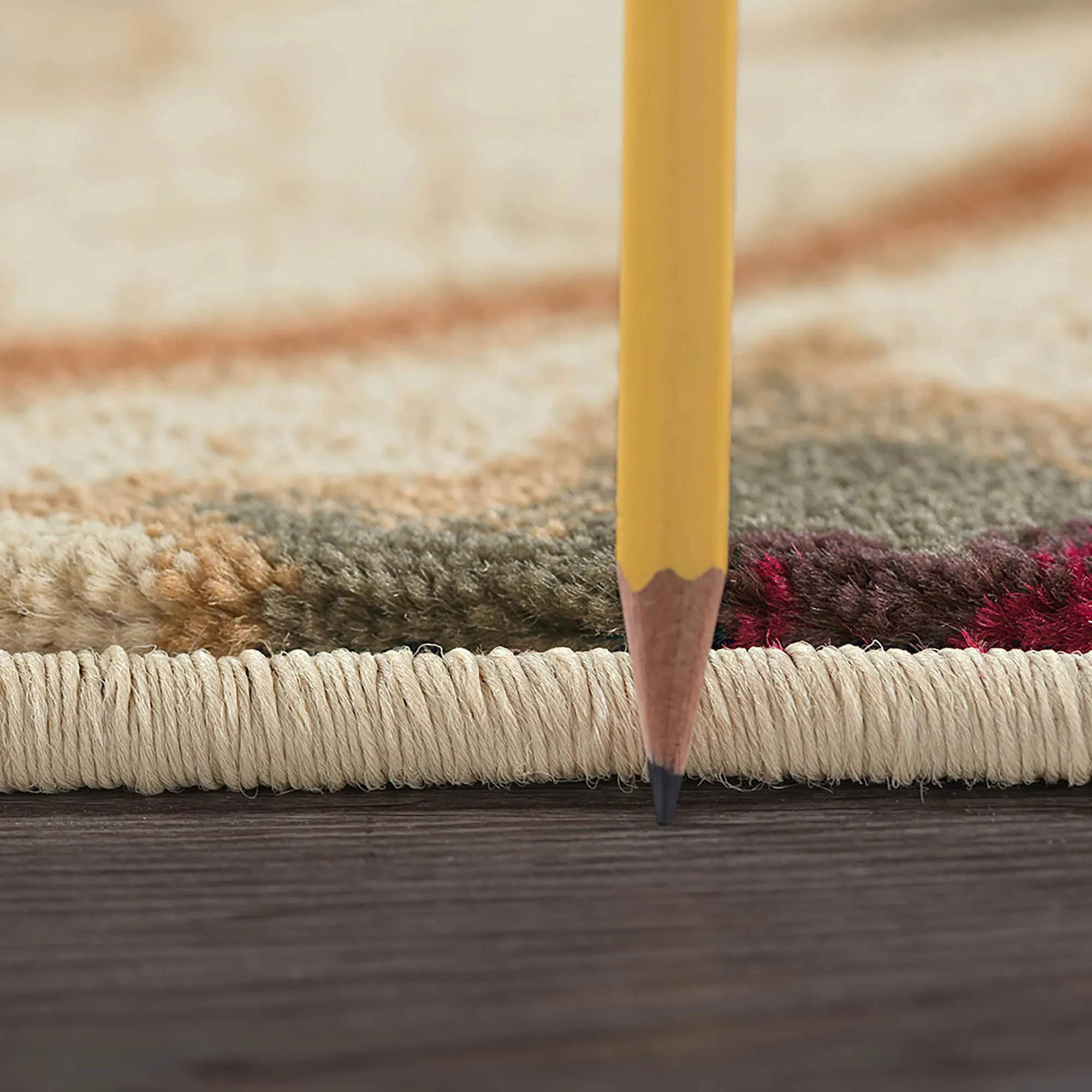 Infinity Transitional Floral Indoor Area Rug