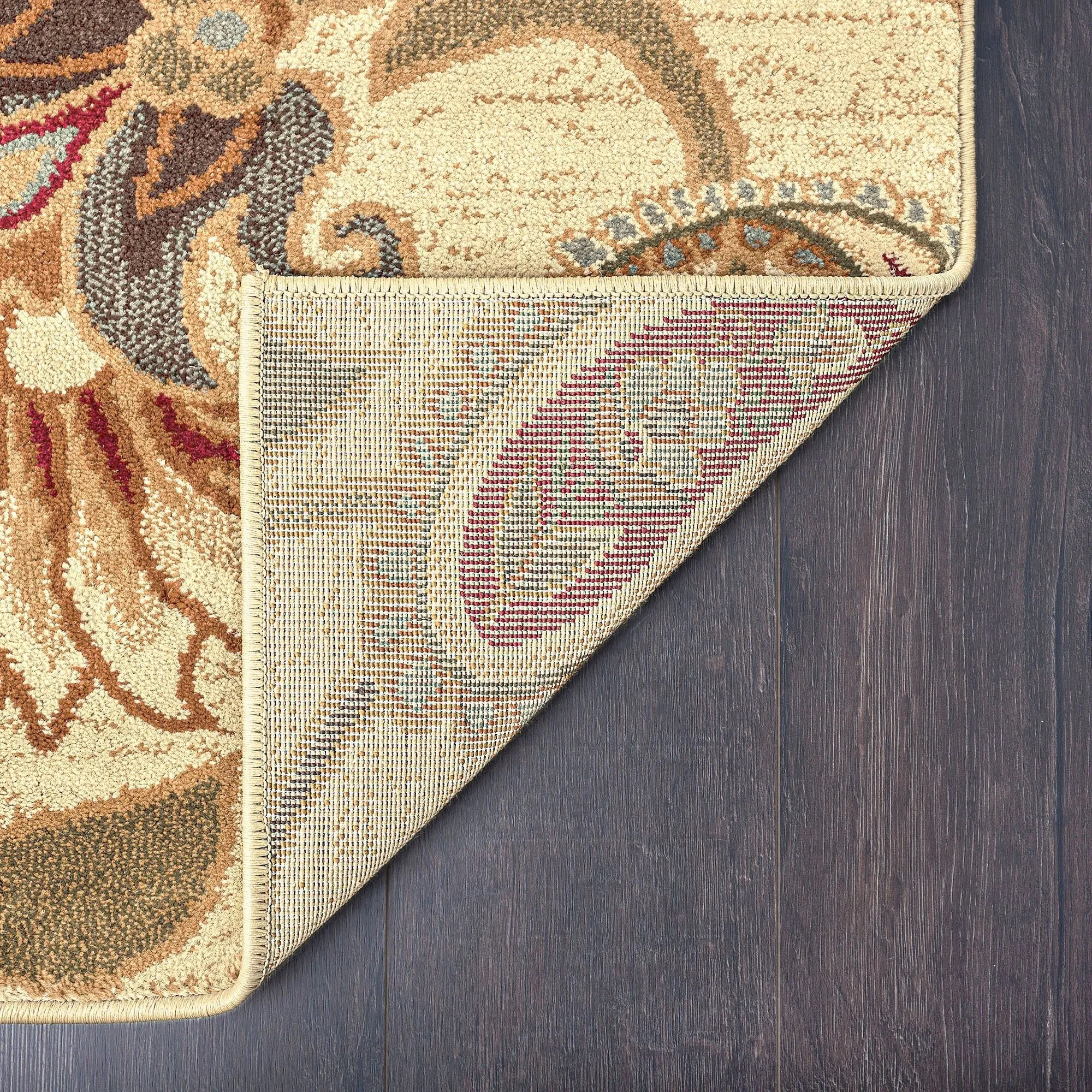 Infinity Transitional Floral Indoor Area Rug