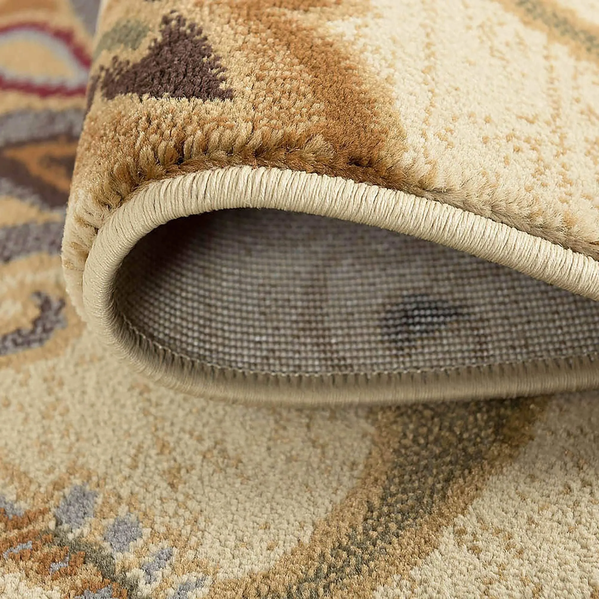 Infinity Transitional Floral Indoor Area Rug