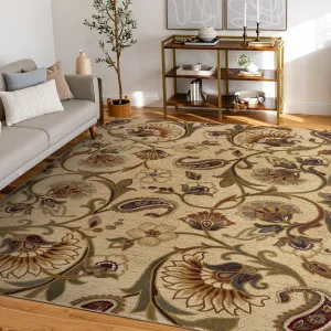 Infinity Transitional Floral Indoor Area Rug