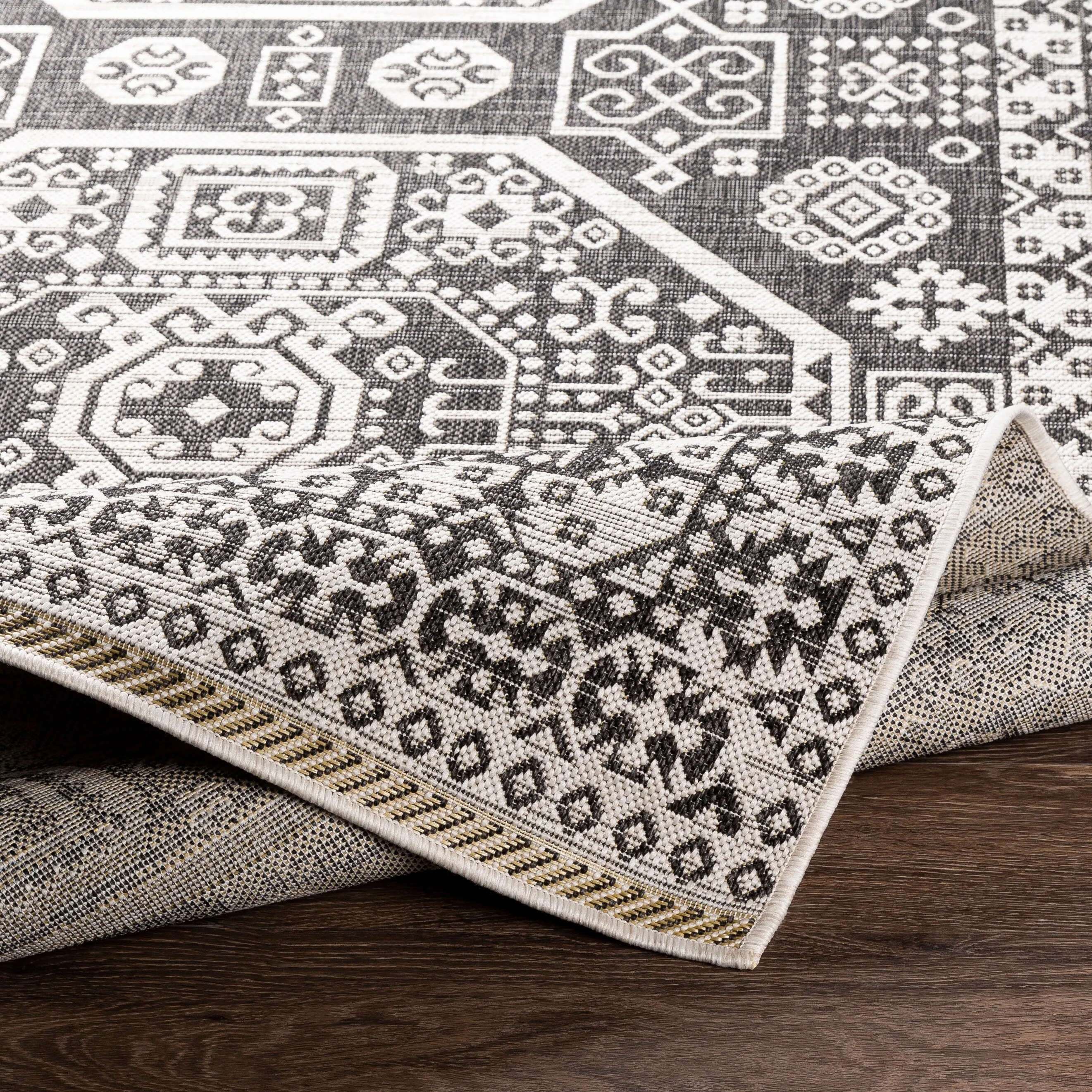Lavon Indoor/ Outdoor Nomad Area Rug