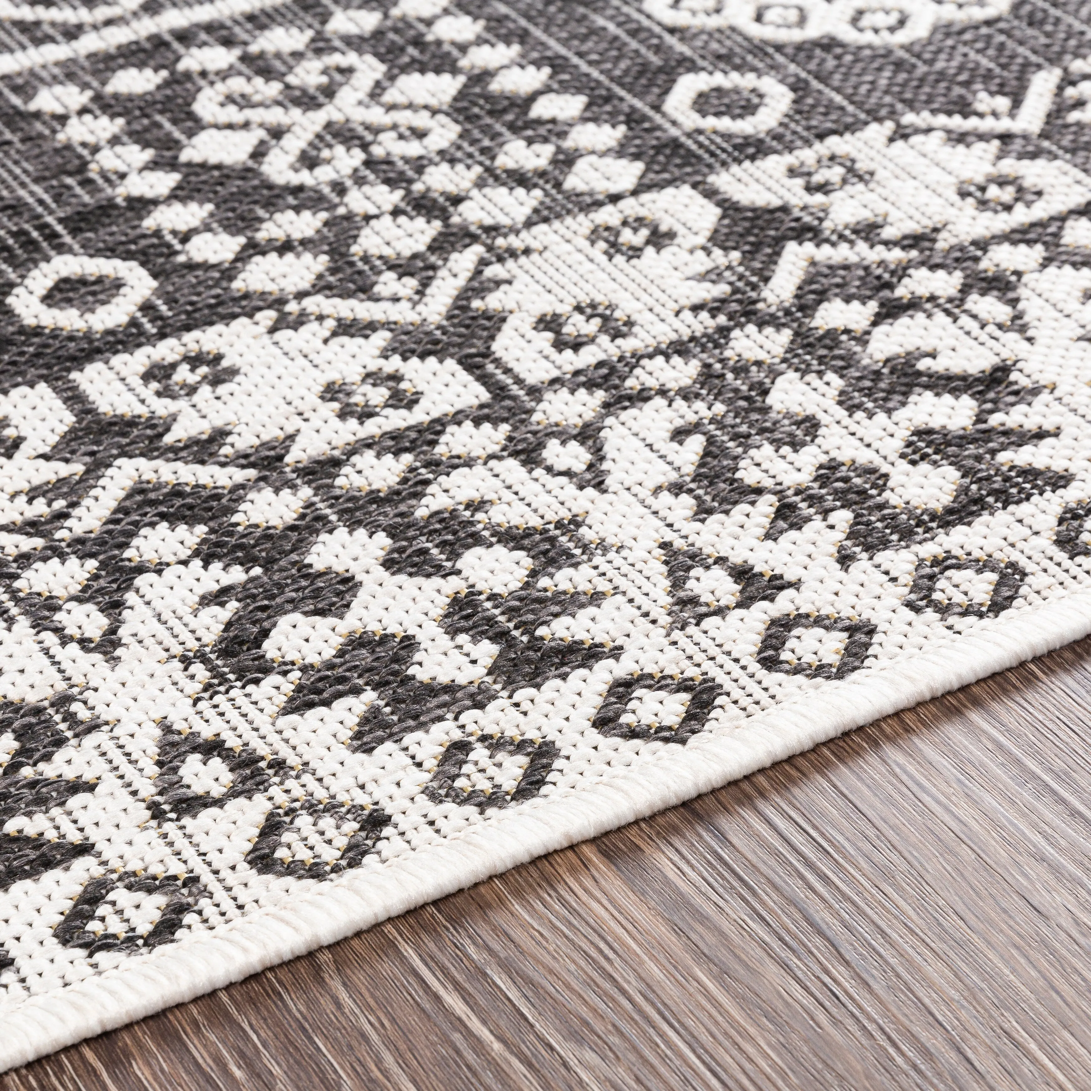 Lavon Indoor/ Outdoor Nomad Area Rug