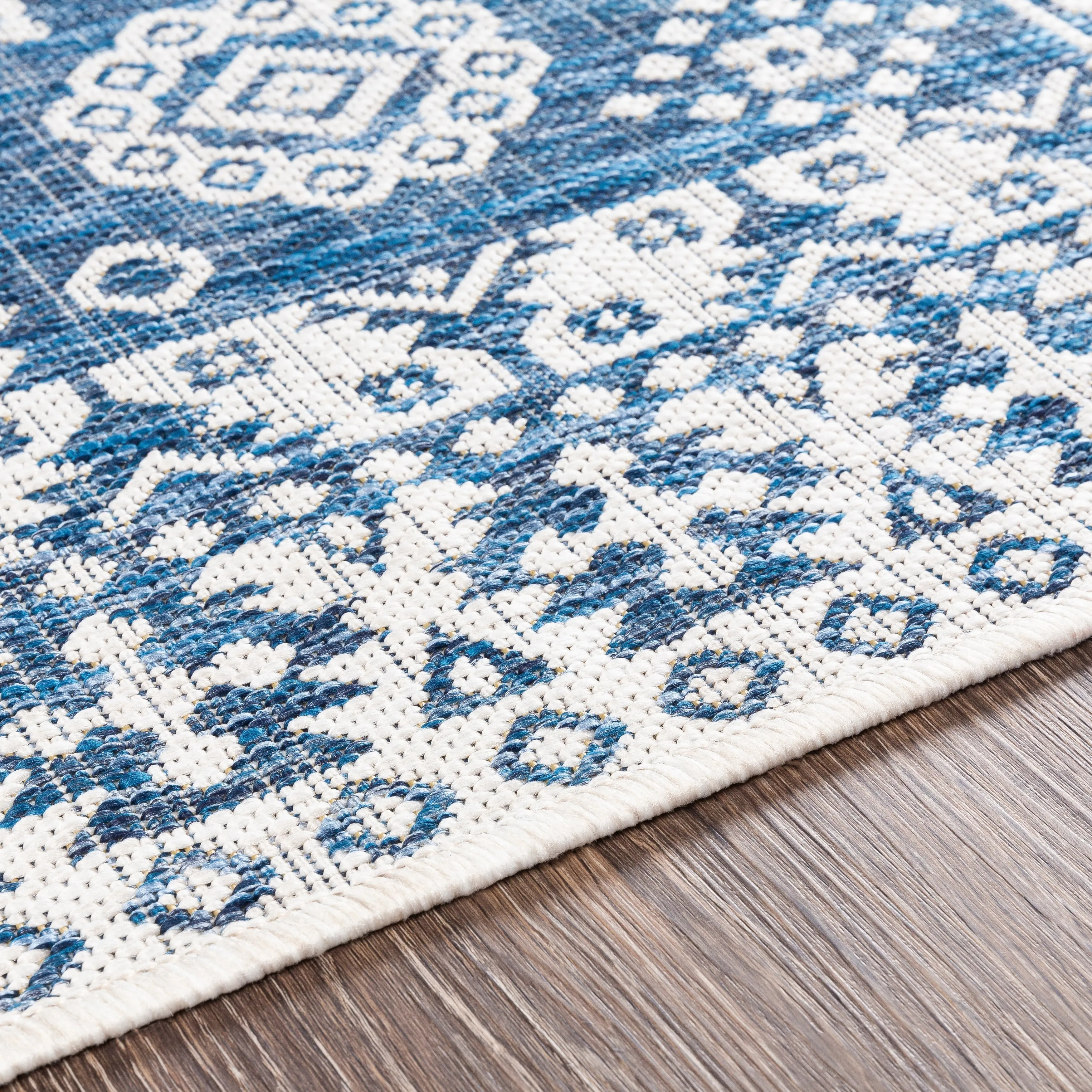 Lavon Indoor/ Outdoor Nomad Area Rug