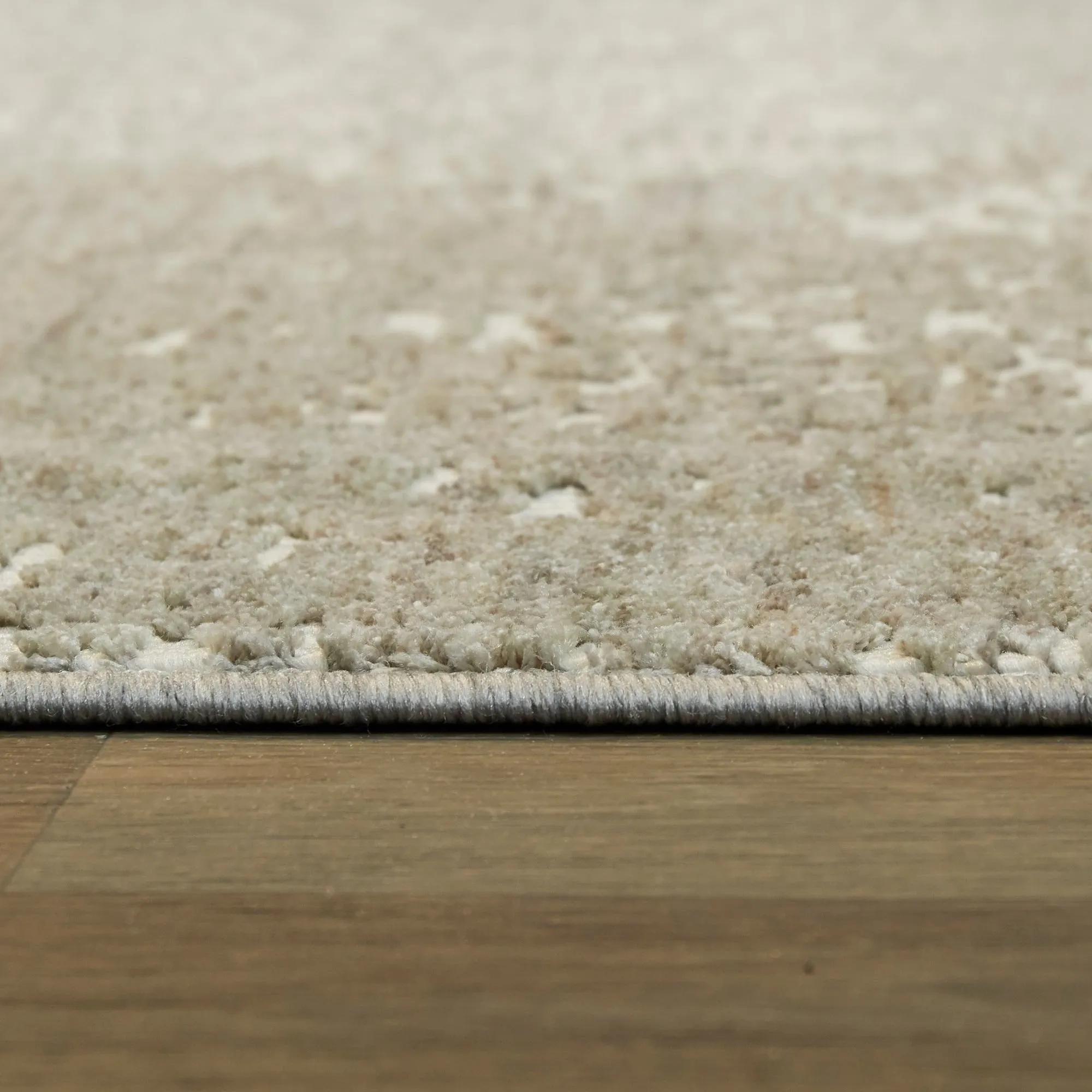 Leon Distressed Abstract Area Rug
