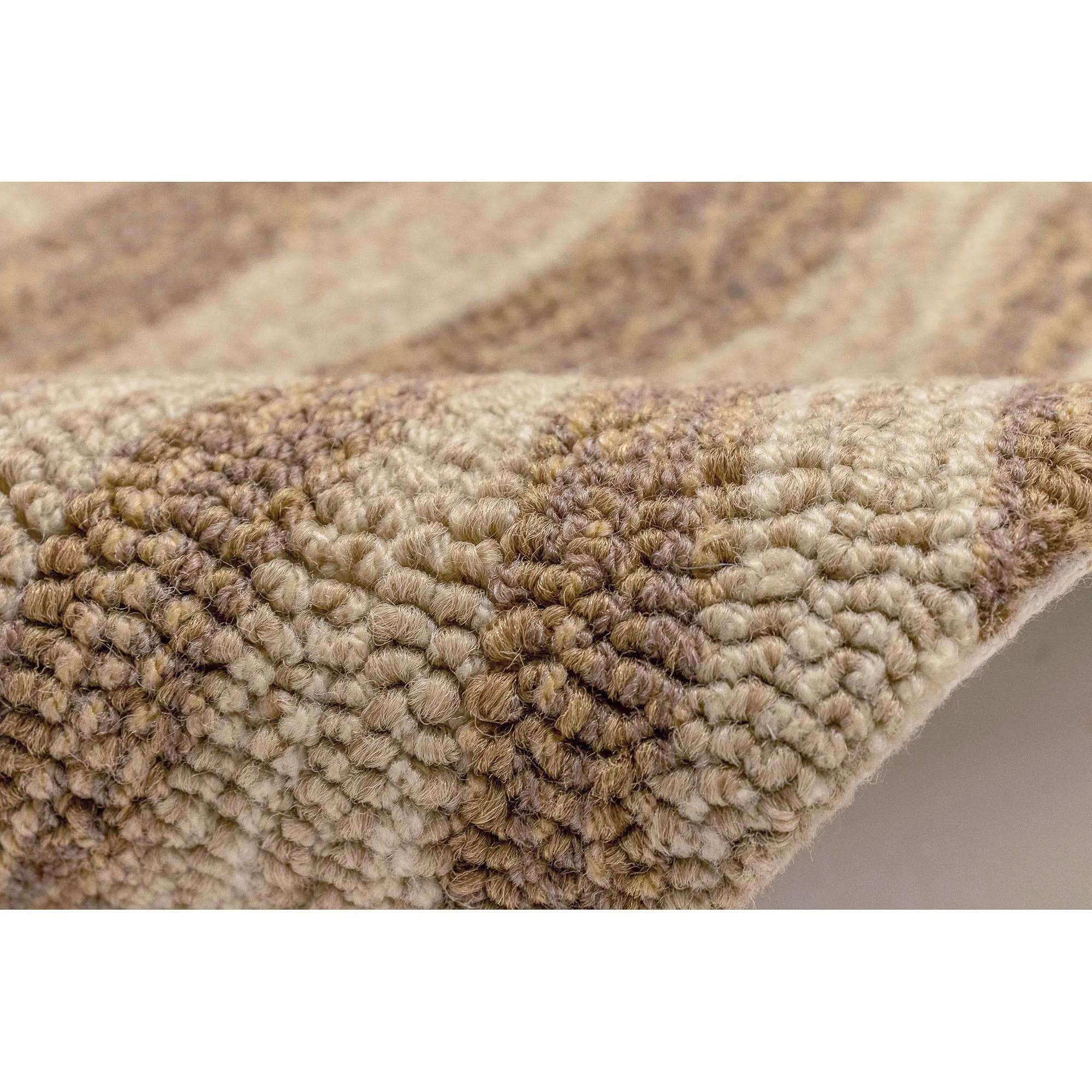 Liora Manne Ravella Zebra Indoor/Outdoor Rug