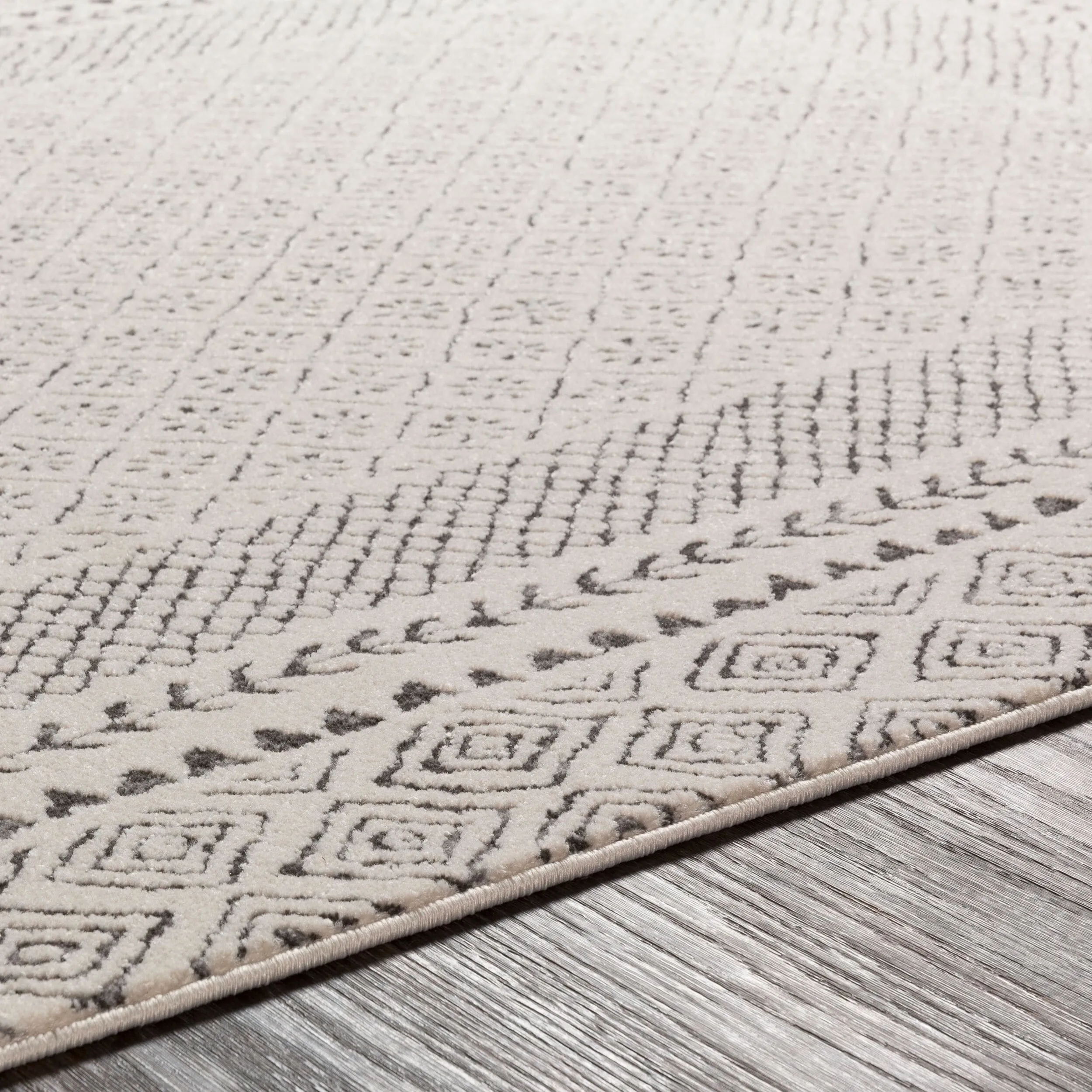 Livabliss Bahar Eclectic Border Area Rug