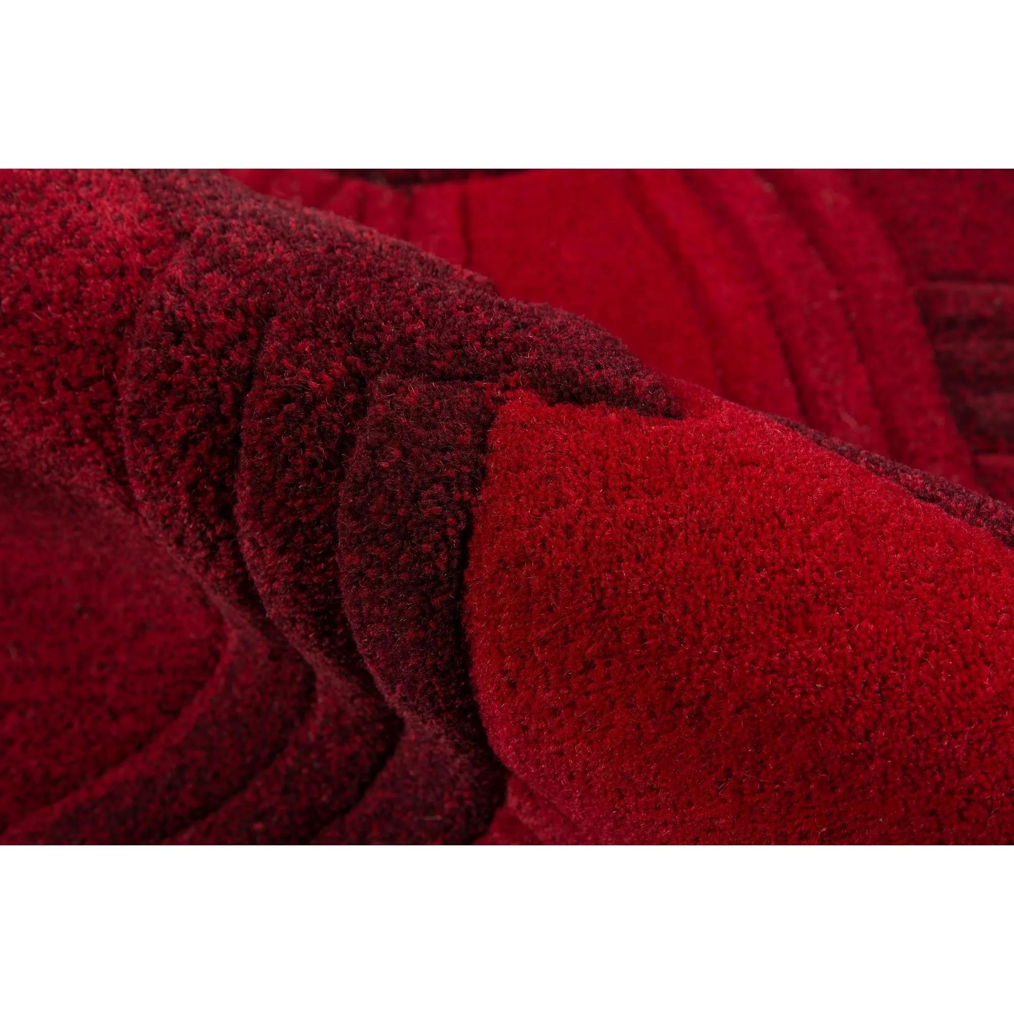 Momeni Delhi Hand Tufted Wool Floral Area Rug