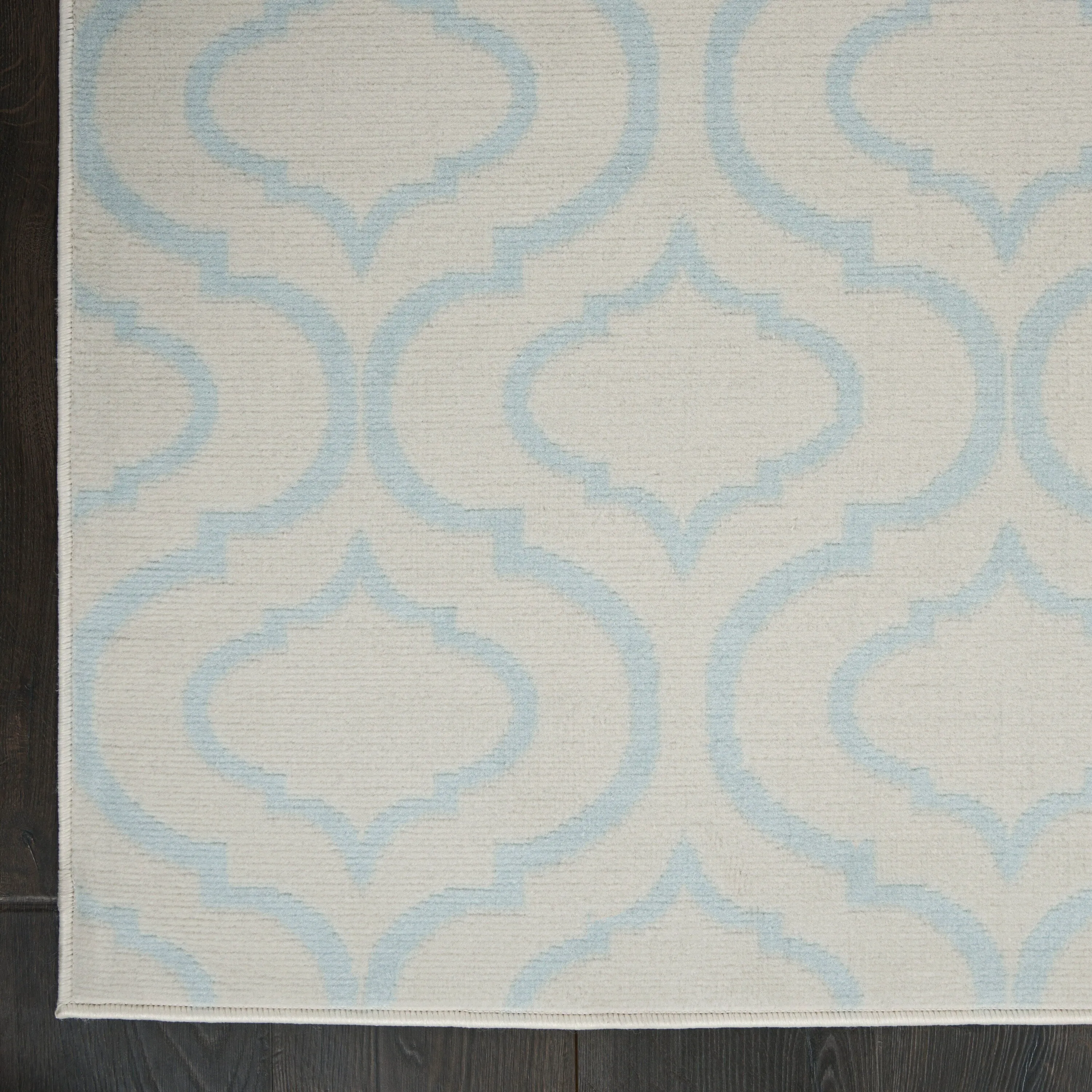 Nourison Jubilant Moroccan Trellis Area Rug