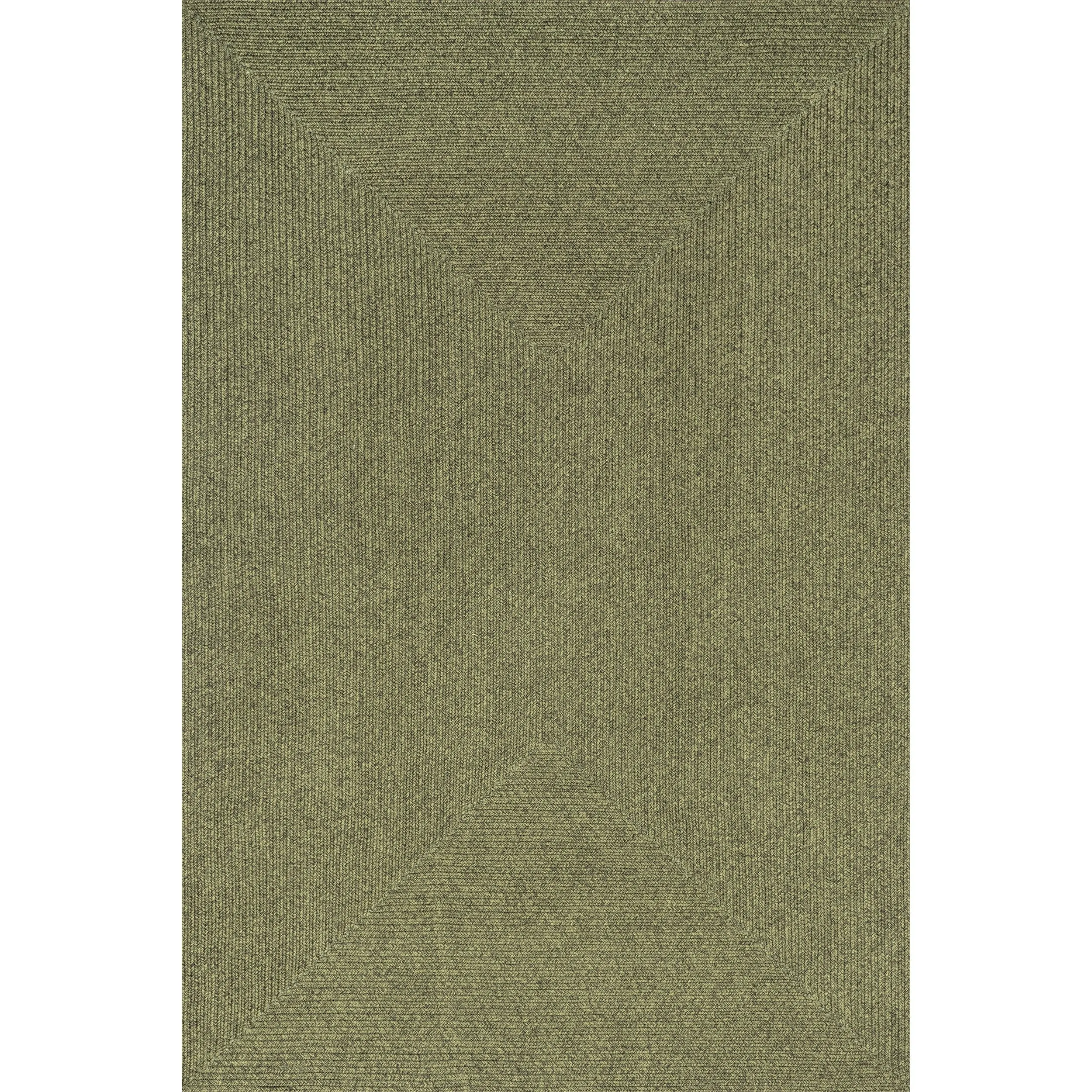 Nuloom Wynn Braided Indoor/Outdoor Area Rug