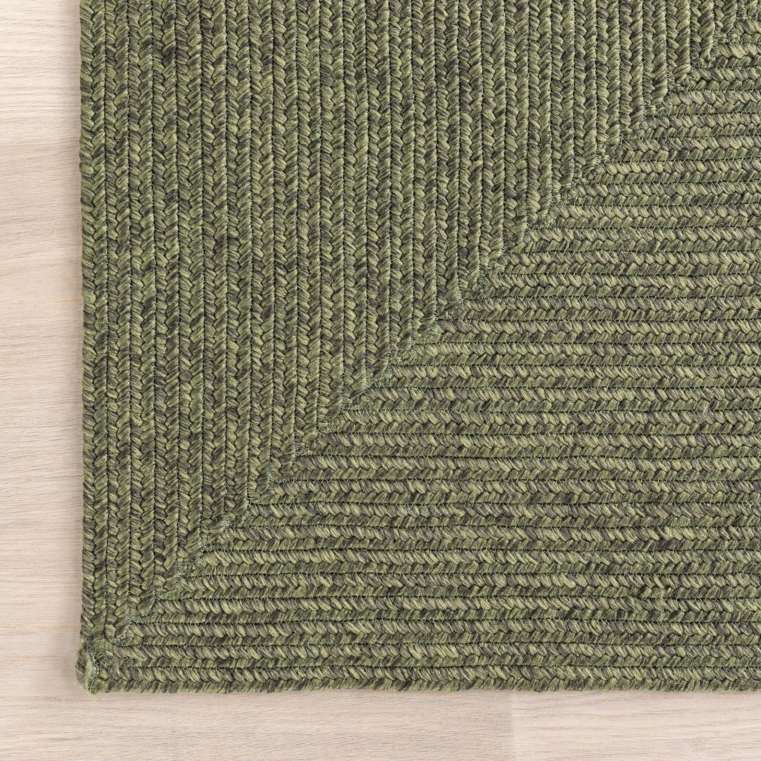 Nuloom Wynn Braided Indoor/Outdoor Area Rug