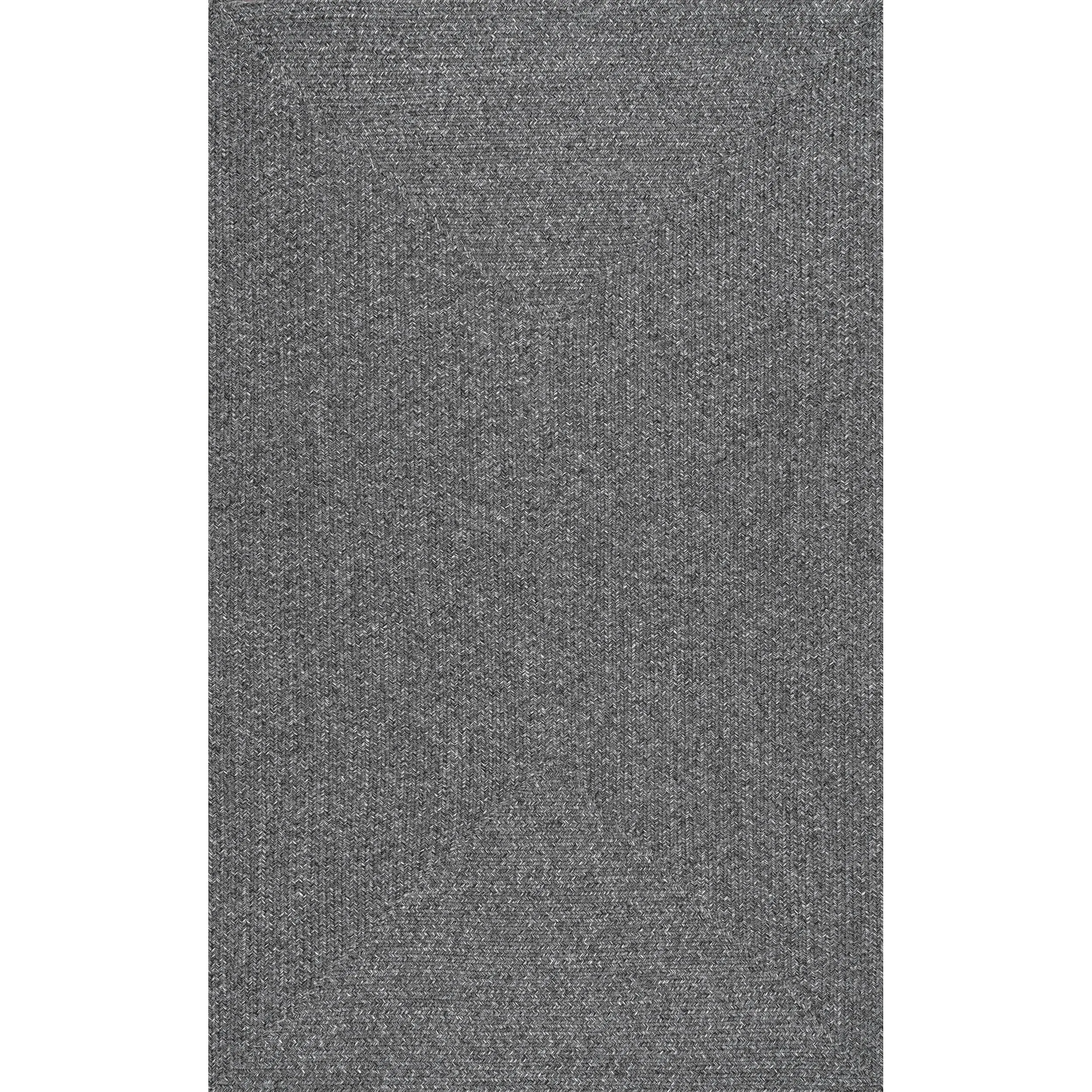 Nuloom Wynn Braided Indoor/Outdoor Area Rug