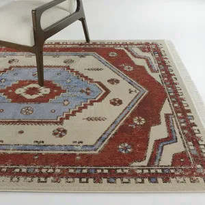 Penrose Traditional Medallion Recycled Area Rug