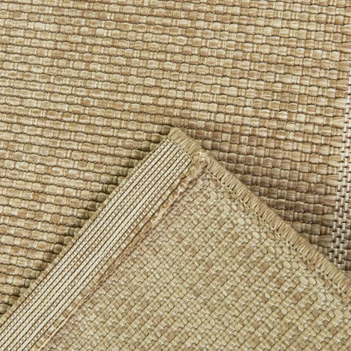 Proust Solid Border Indoor/Outdoor Area Rug