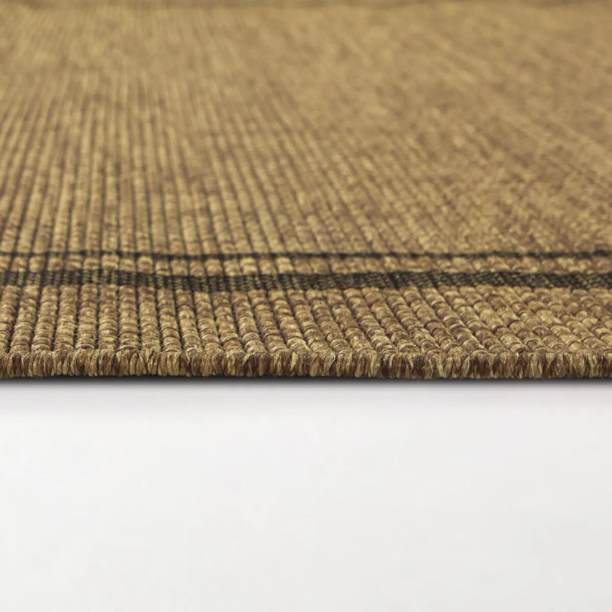 Proust Solid Border Indoor/Outdoor Area Rug