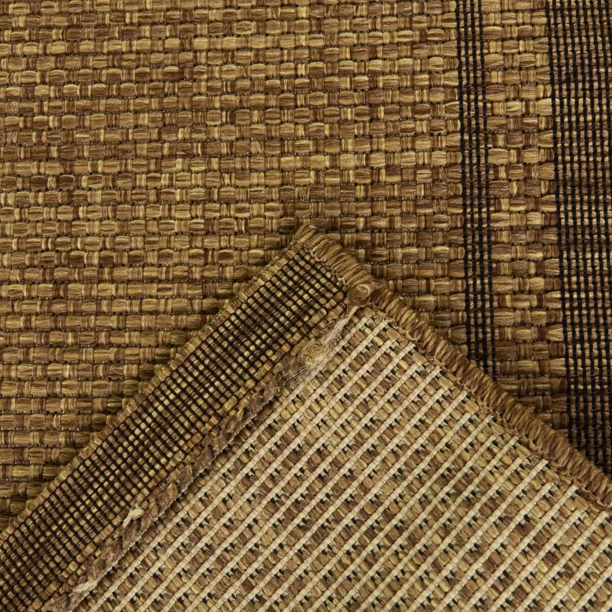 Proust Solid Border Indoor/Outdoor Area Rug