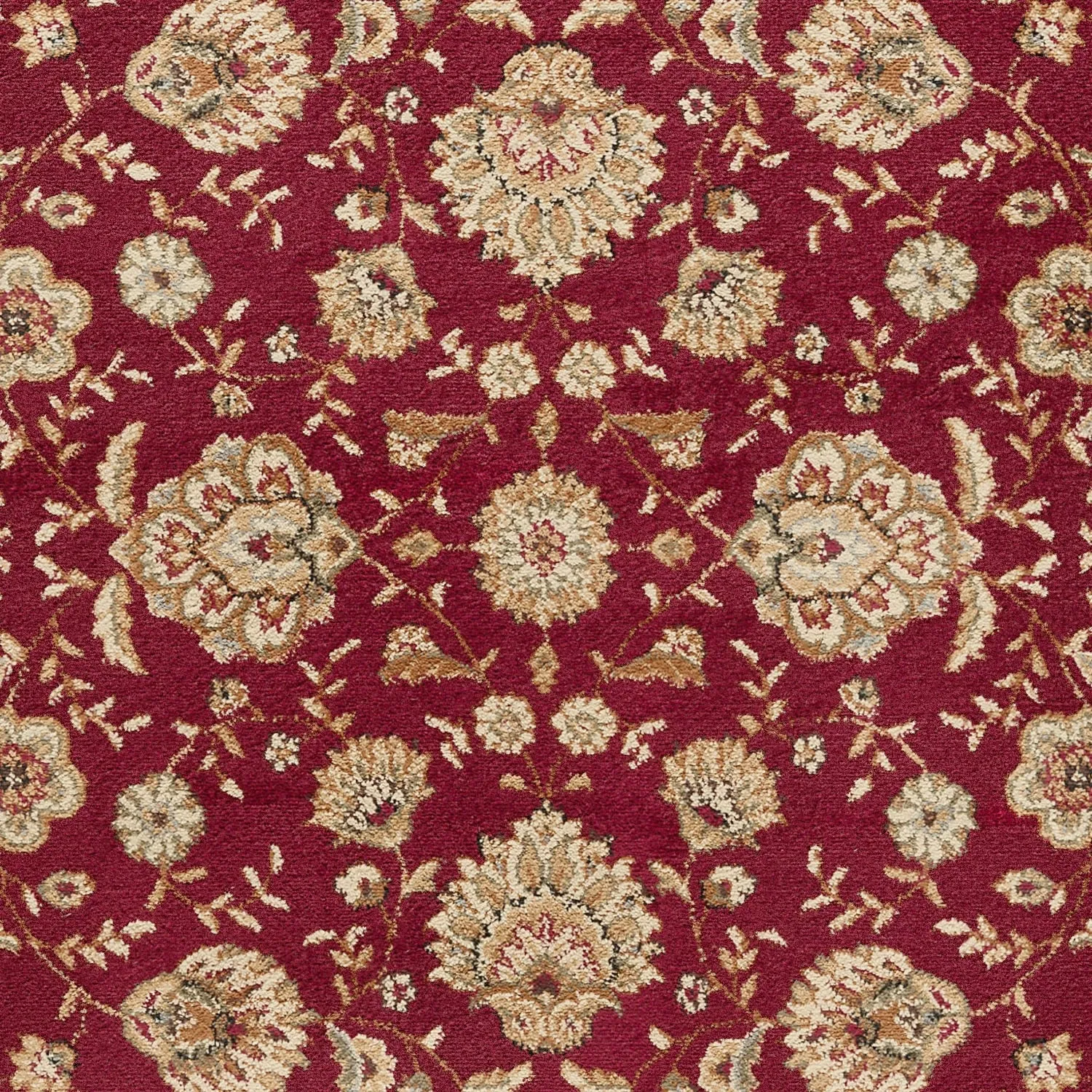 Rhythm Transitional Floral Indoor Area Rug