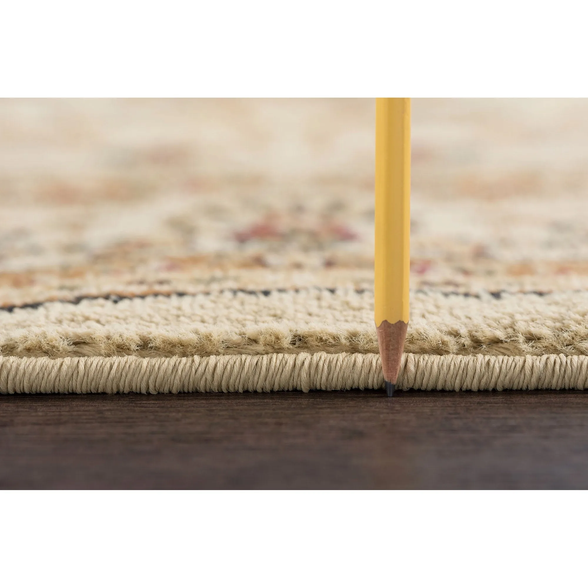 Rhythm Transitional Floral Indoor Area Rug