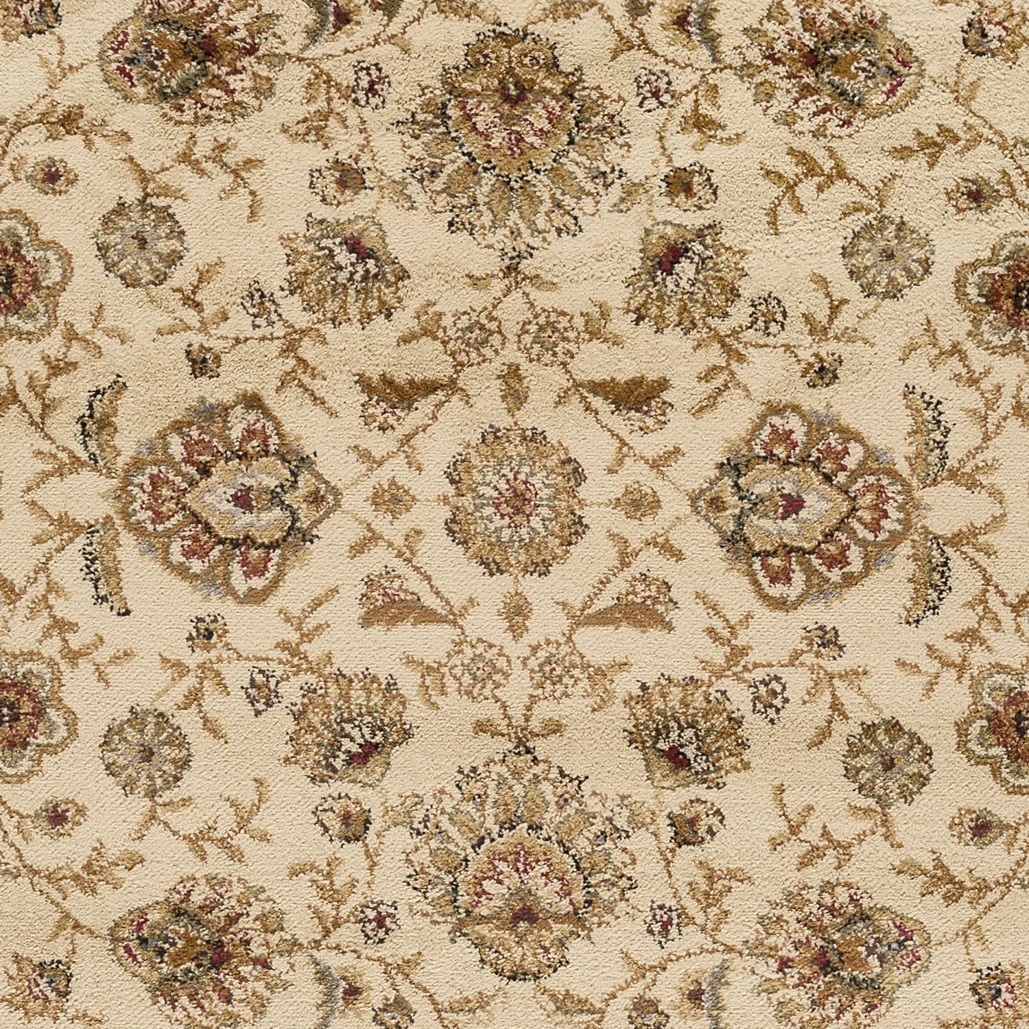 Rhythm Transitional Floral Indoor Area Rug