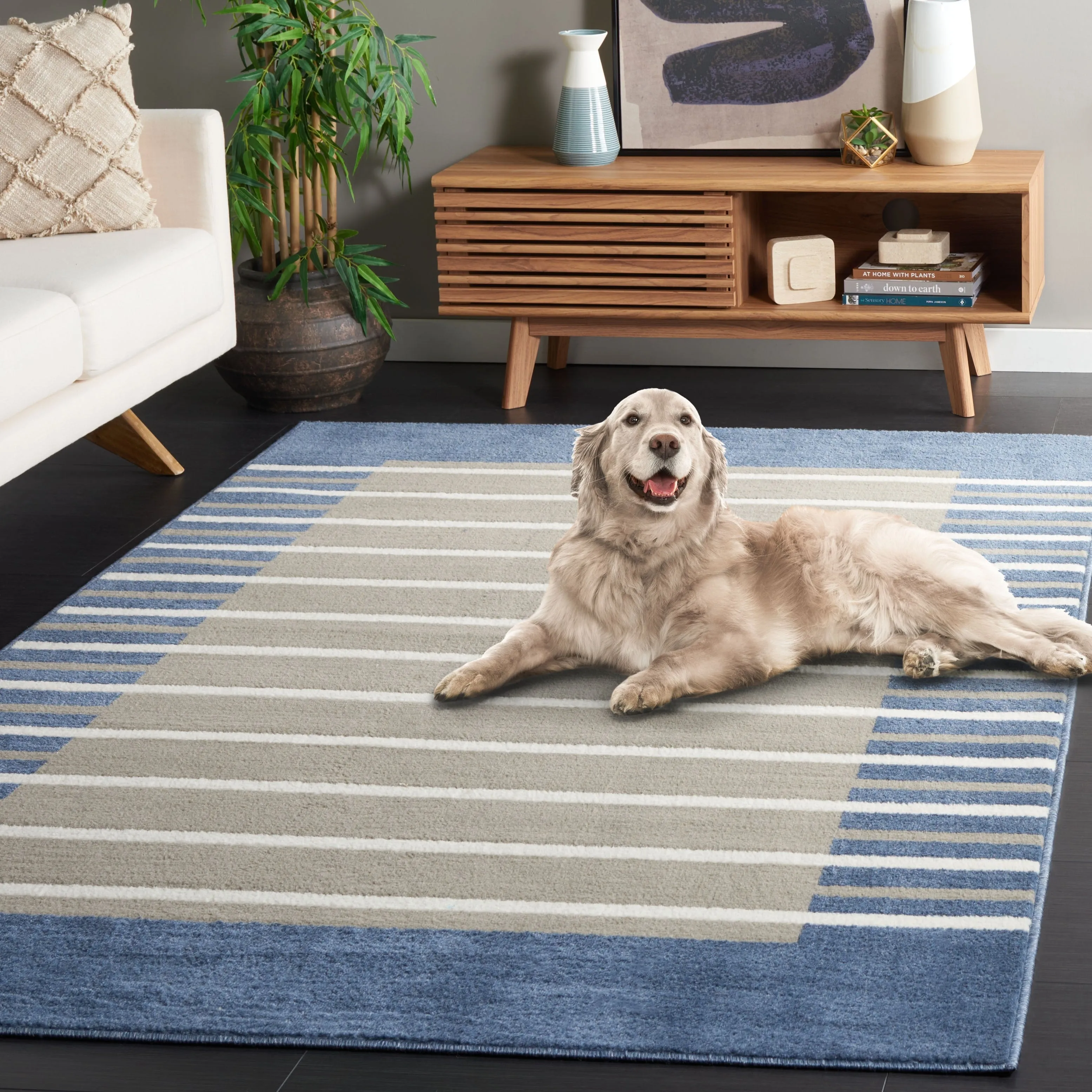 SAFAVIEH Pyramid Zilpah Casual Rug