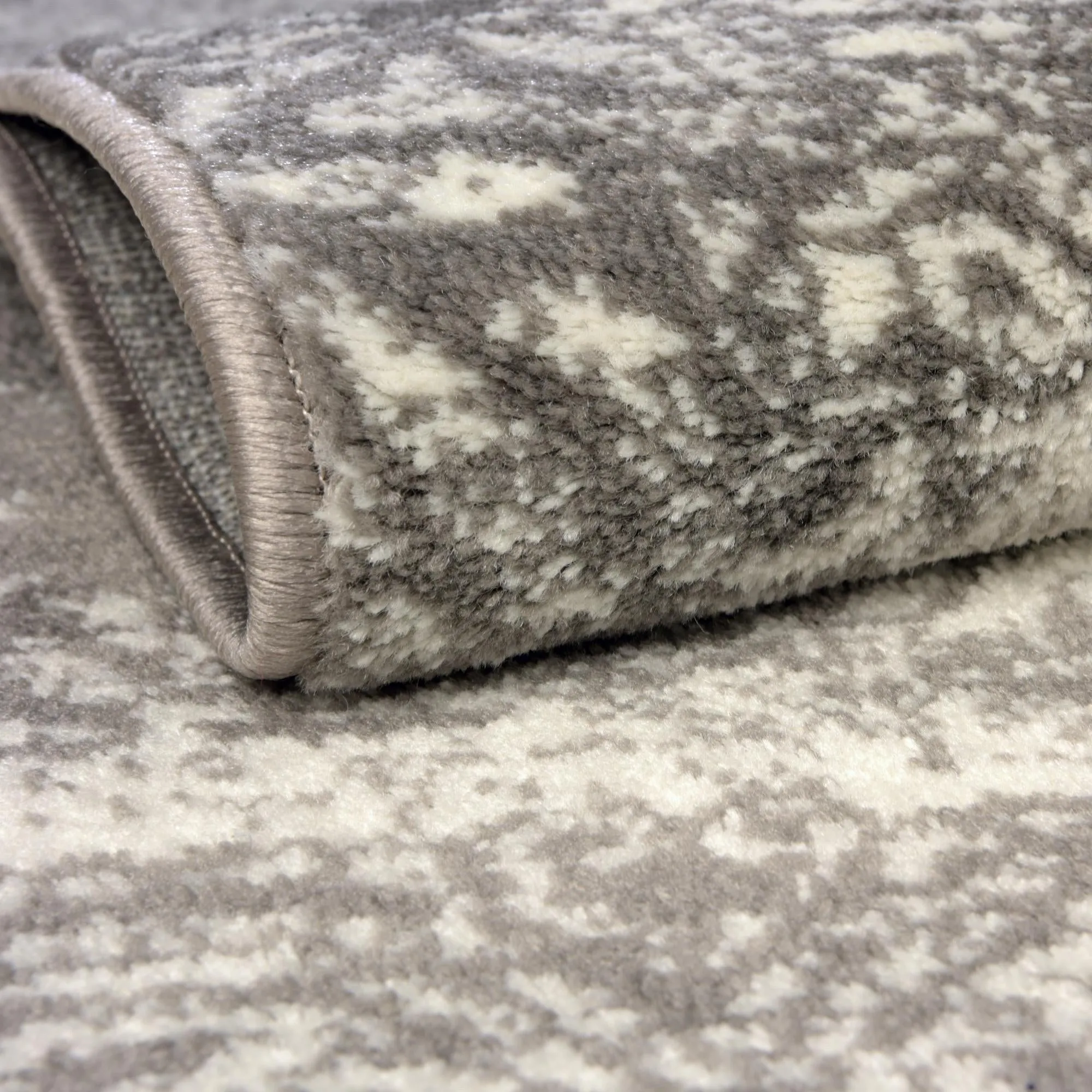 Transitional Fredo Collection Area Rug