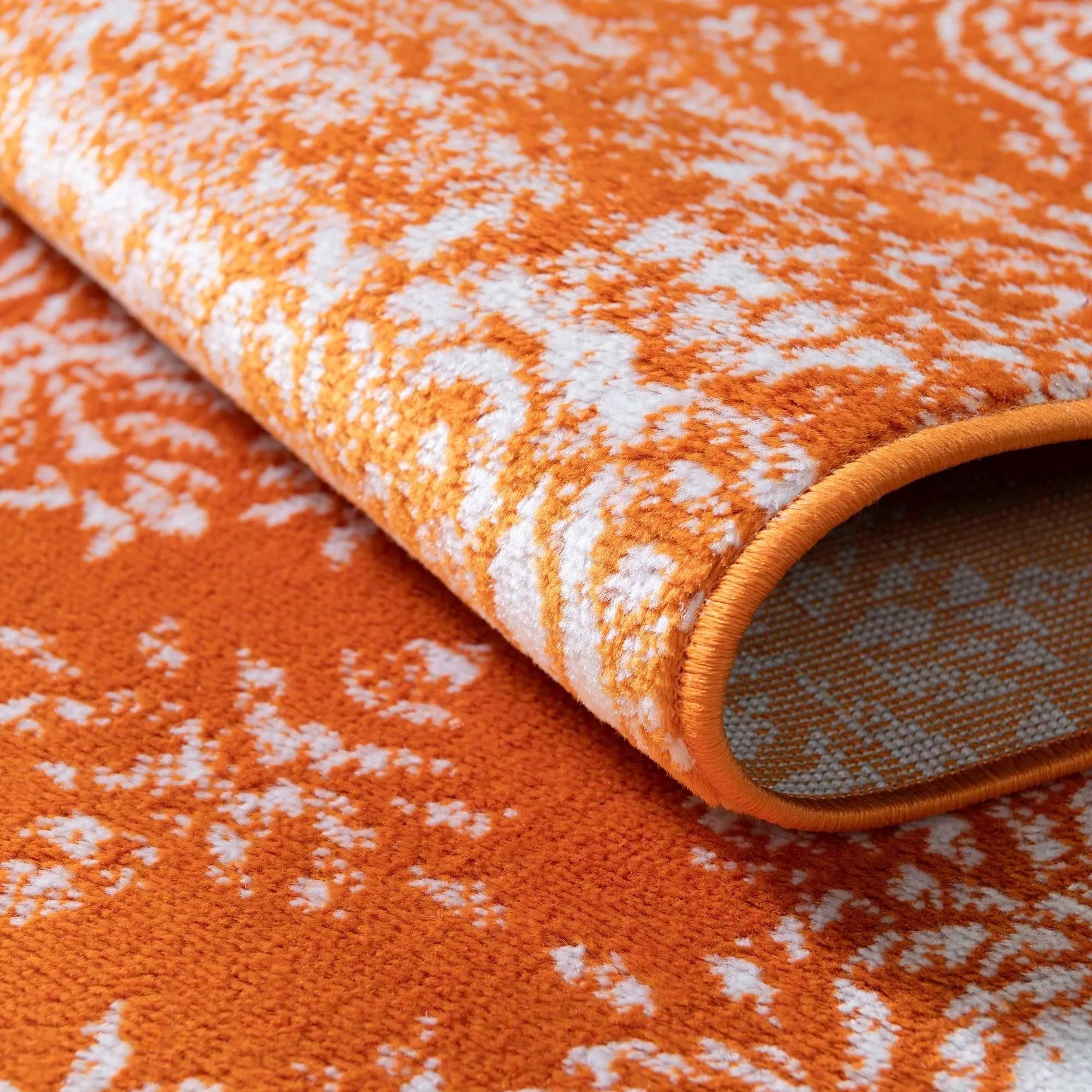 Transitional Fredo Collection Area Rug