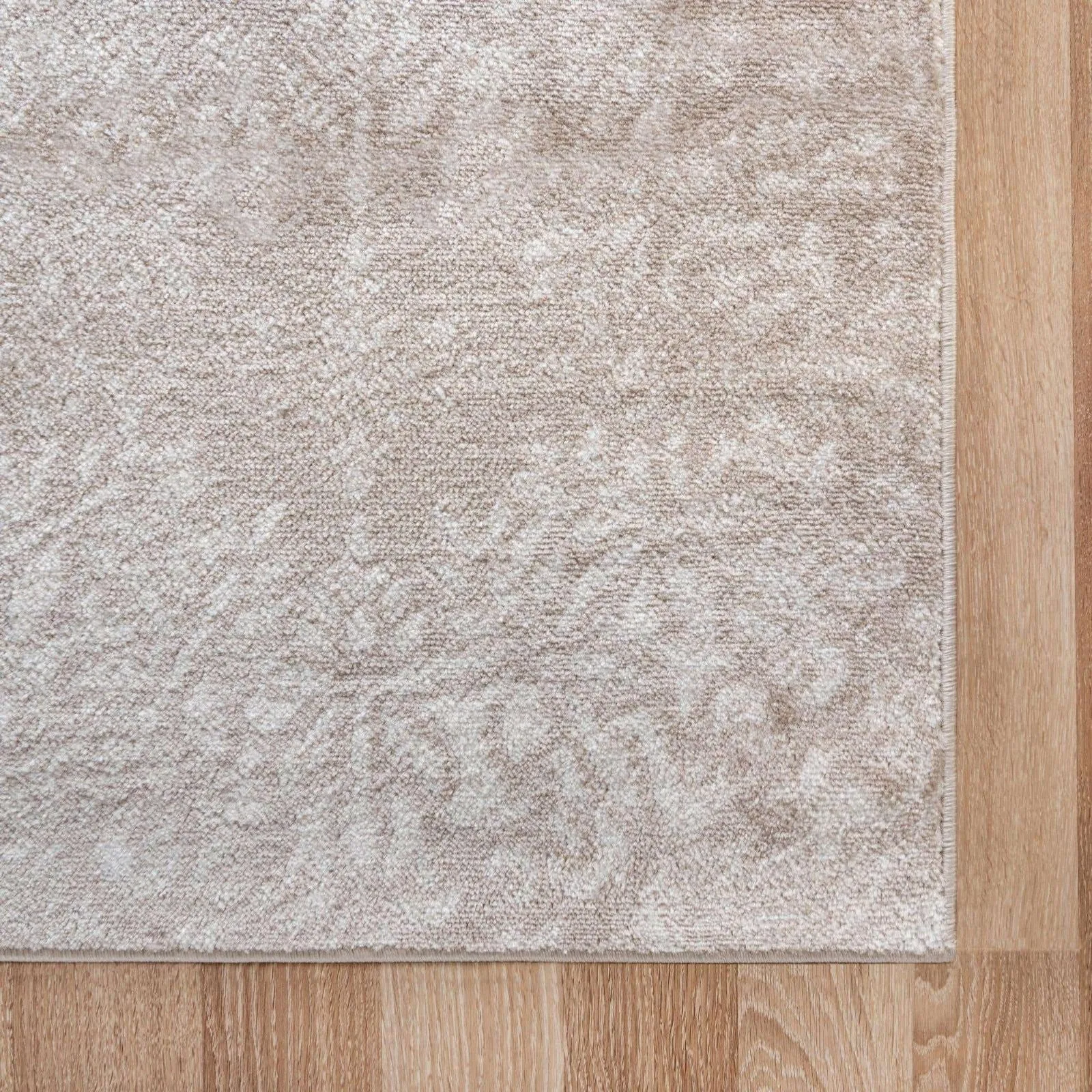 Transitional Fredo Collection Area Rug