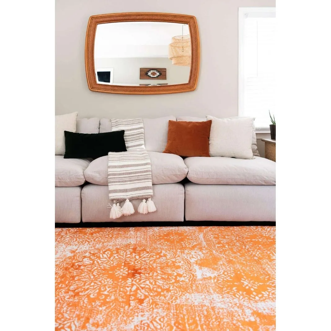 Transitional Fredo Collection Area Rug